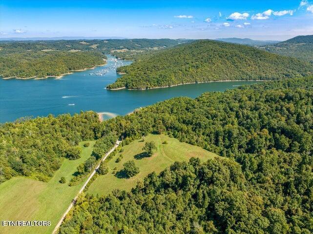 Norris Lake Real Estate - Image# 6