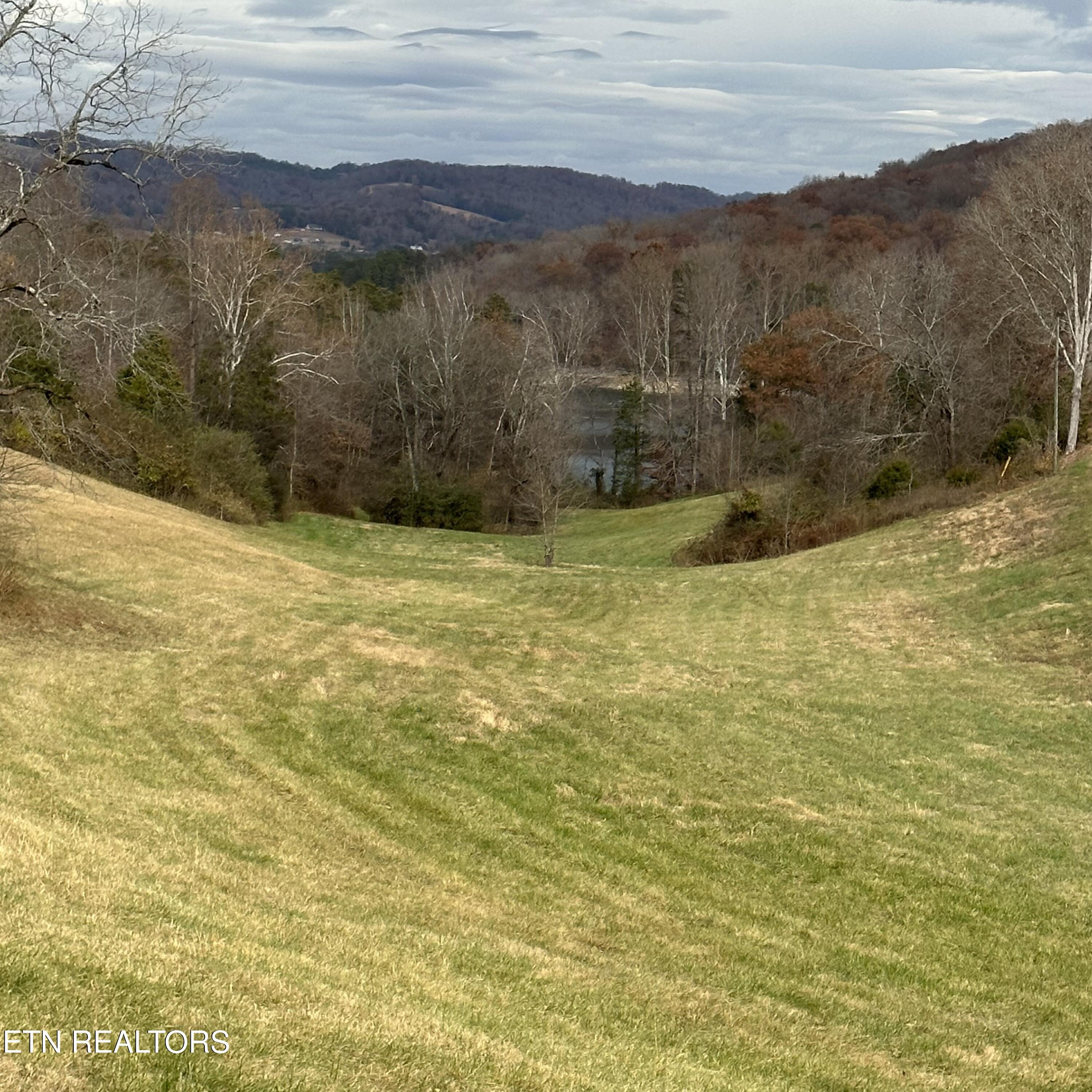 Norris Lake Real Estate - Image# 5