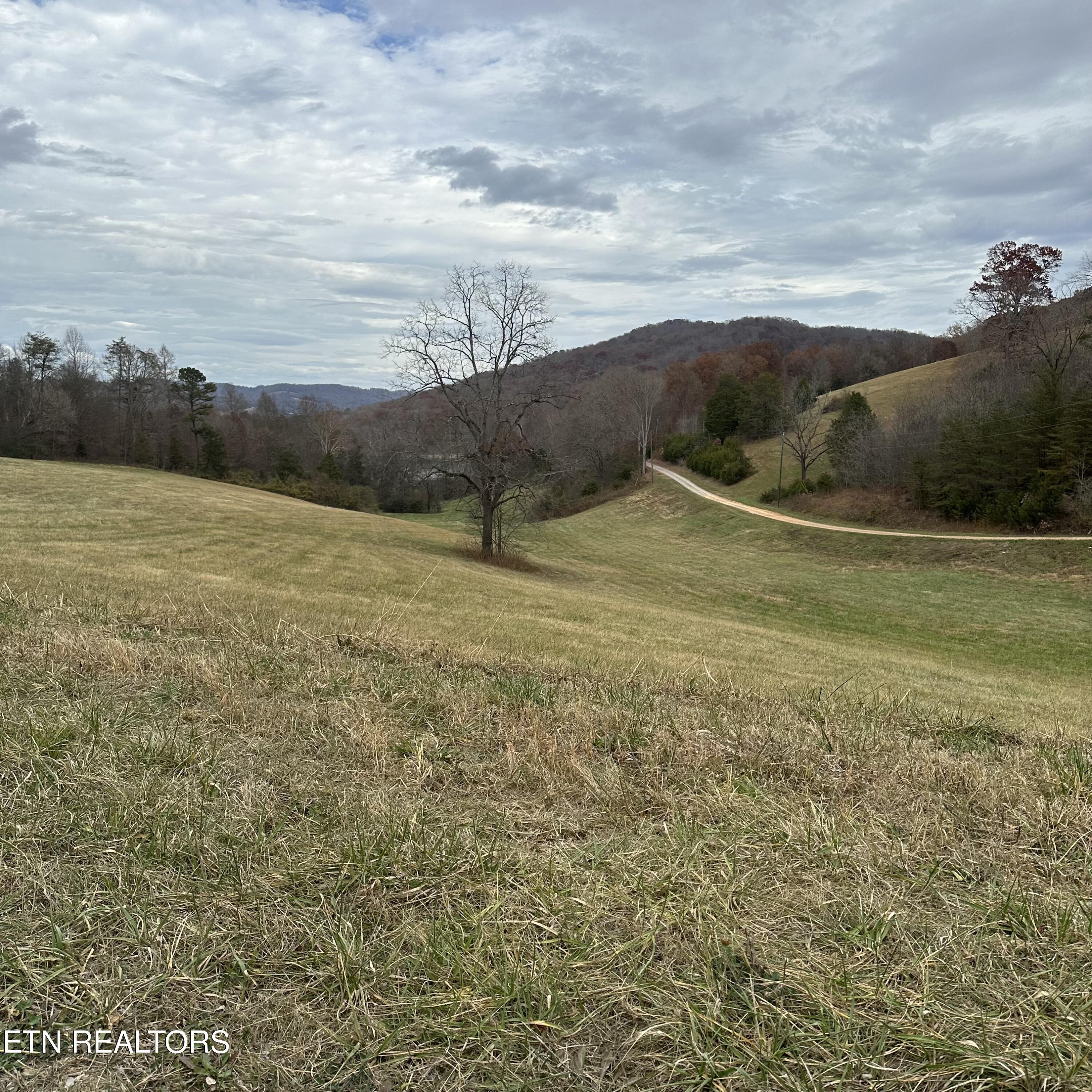 Norris Lake Real Estate - Image# 16