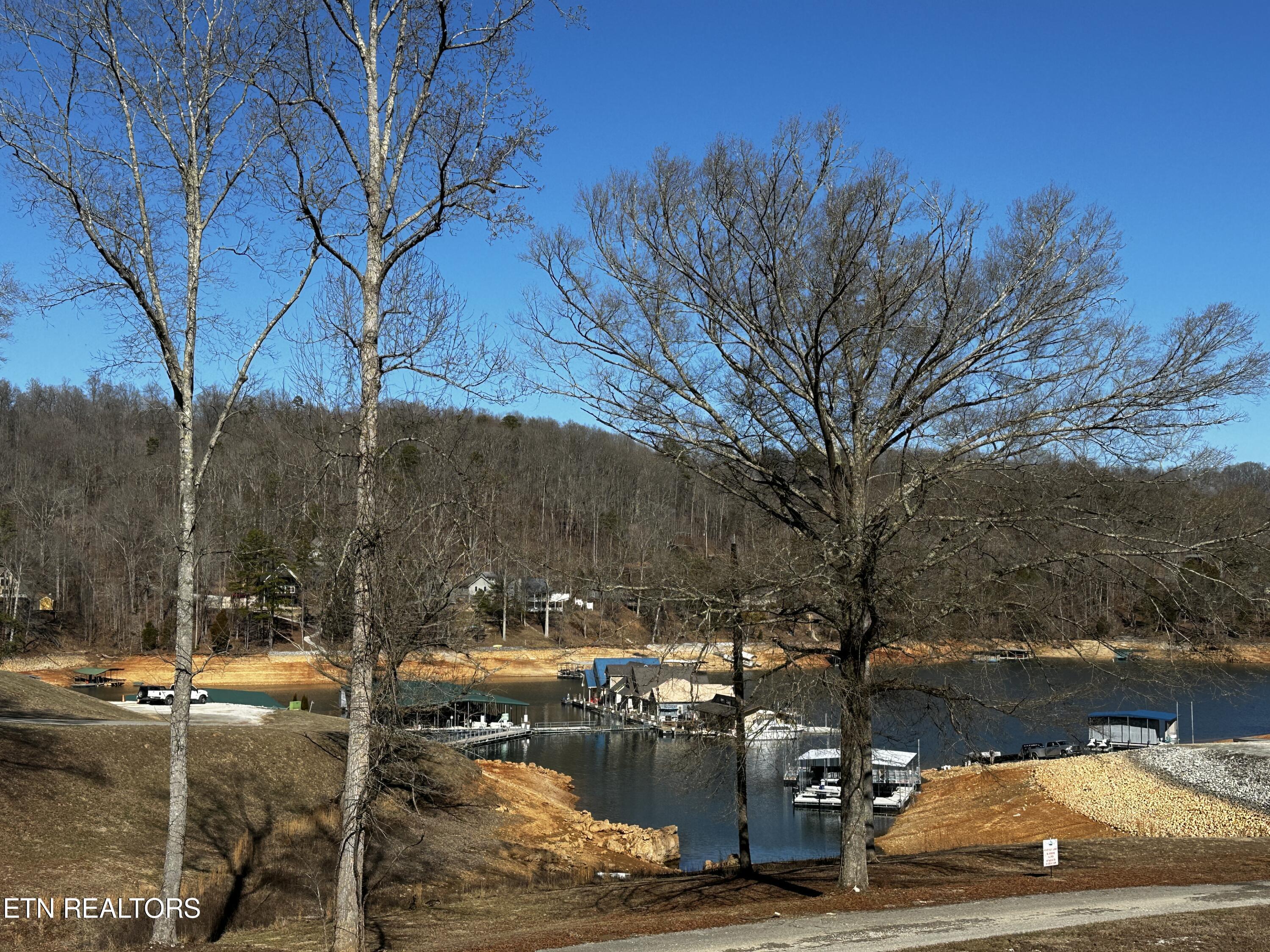 Norris Lake Real Estate - Image# 12