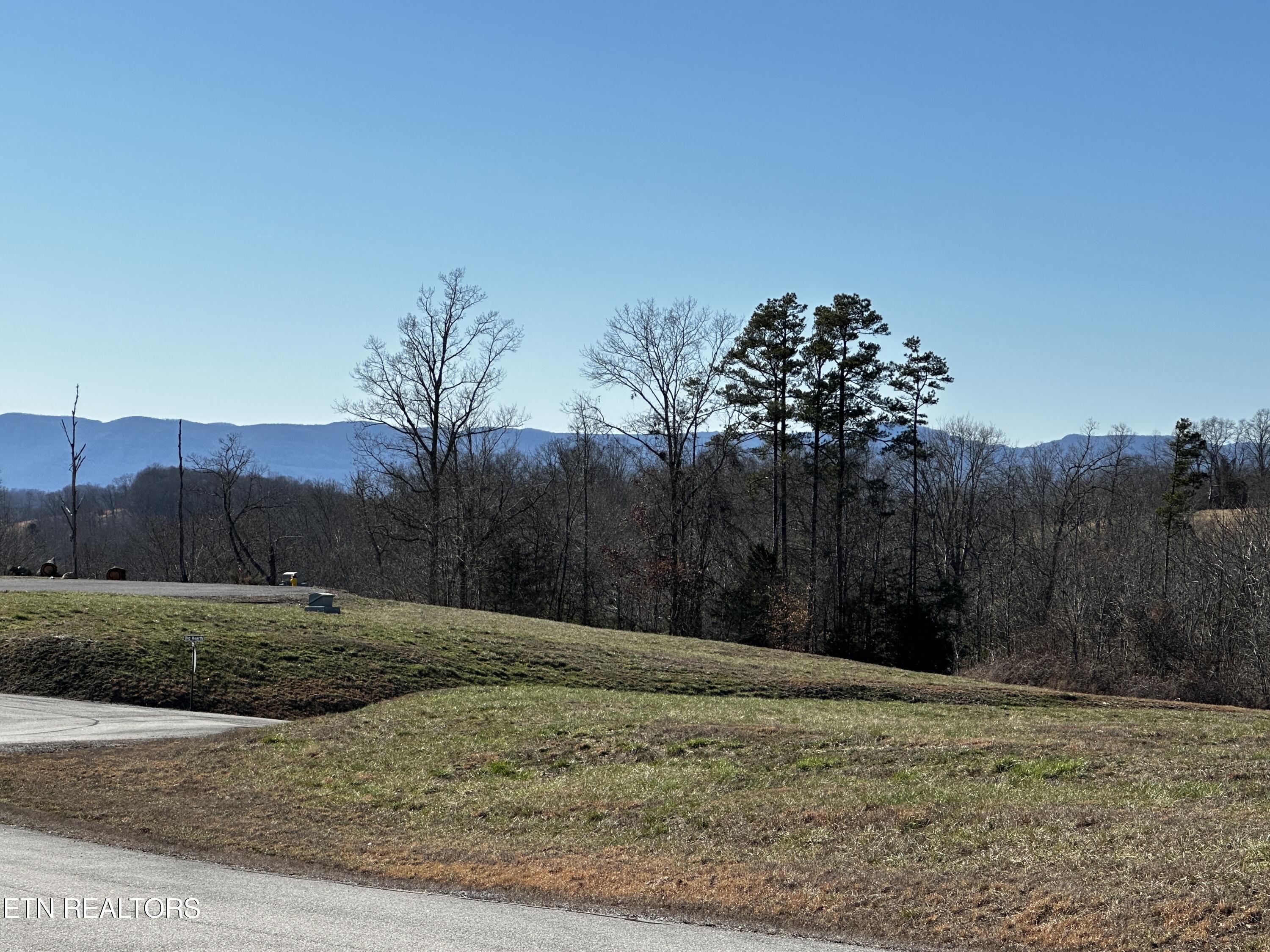 Norris Lake Real Estate - Image# 23