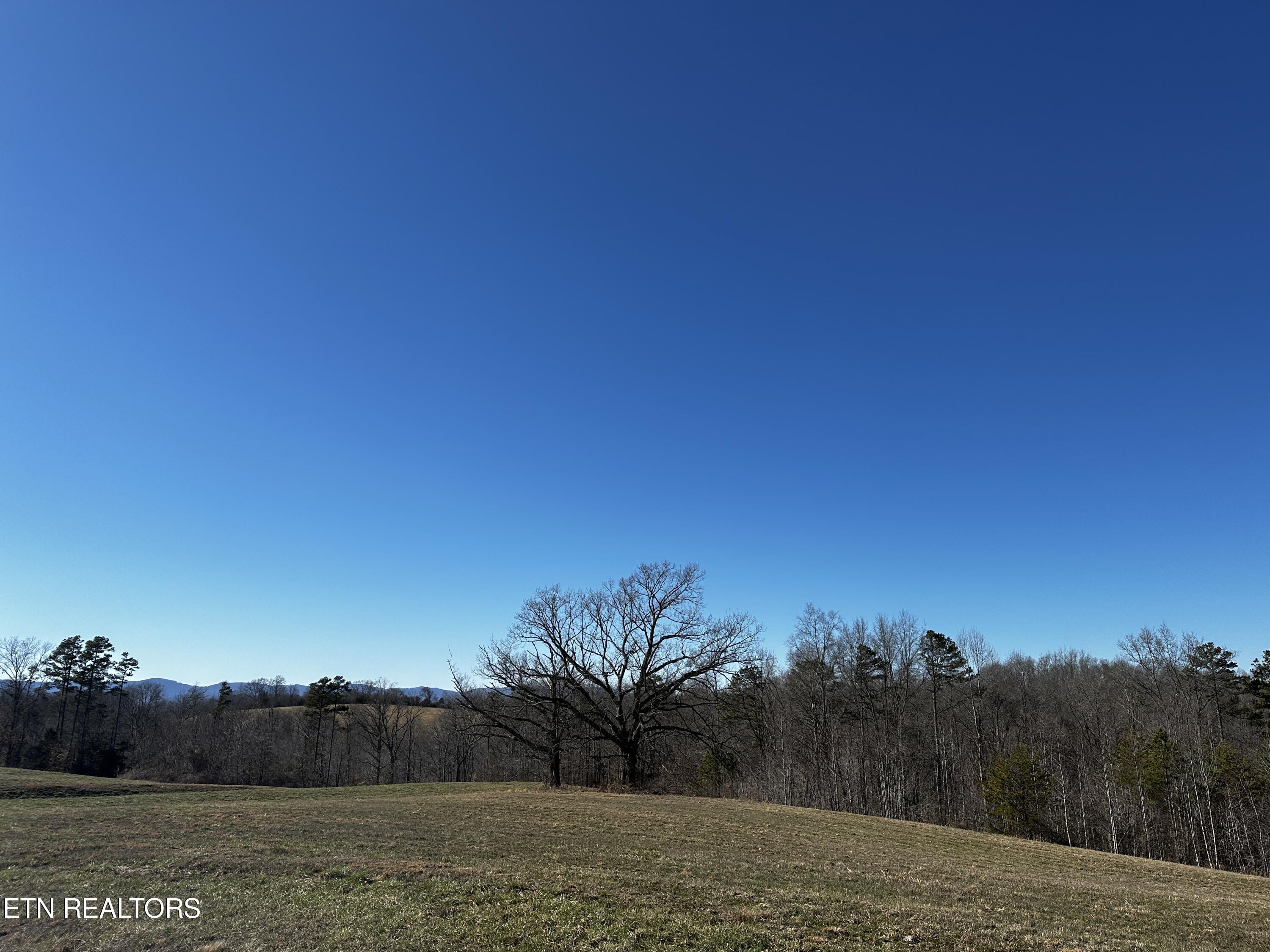 Norris Lake Real Estate - Image# 39