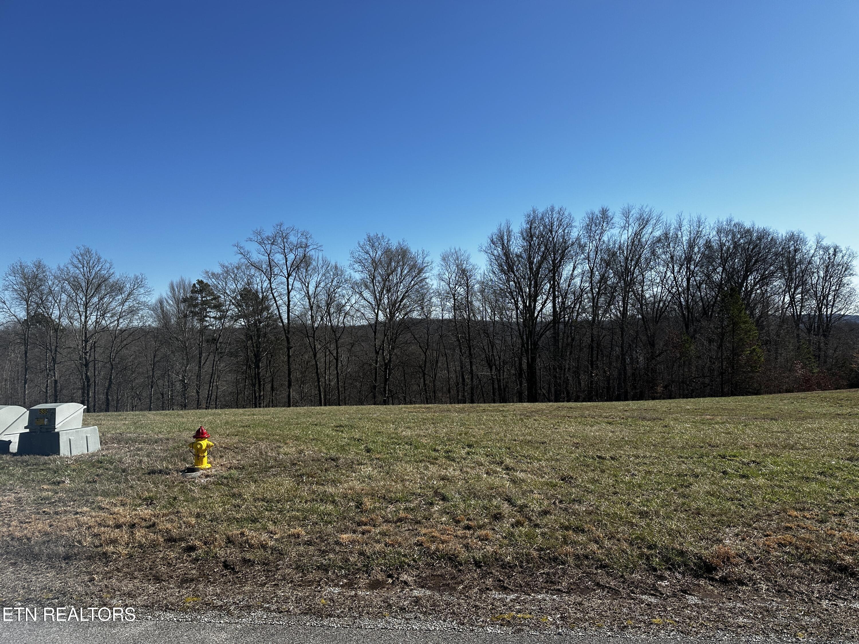 Norris Lake Real Estate - Image# 45