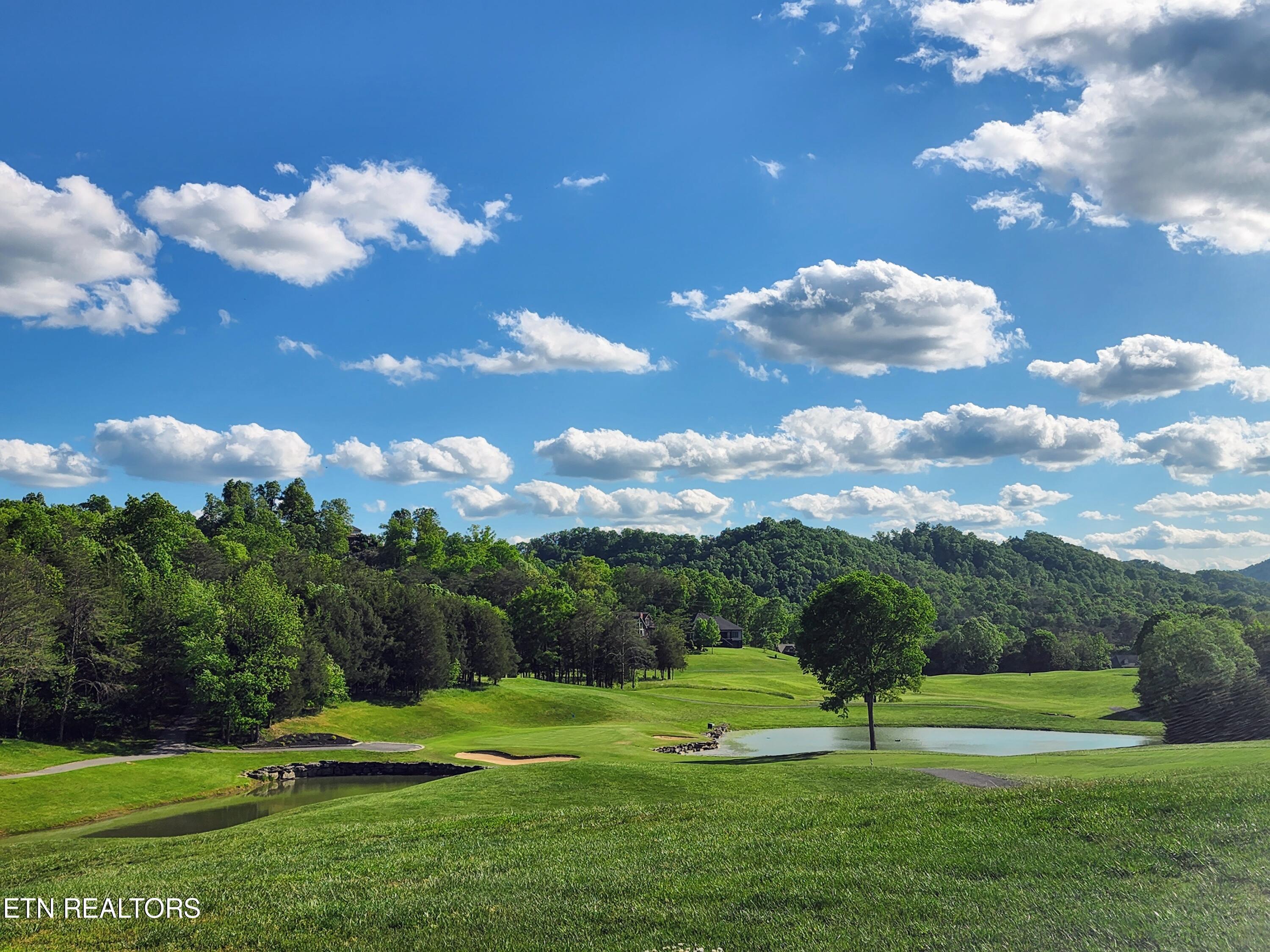 Norris Lake Real Estate - Image# 18