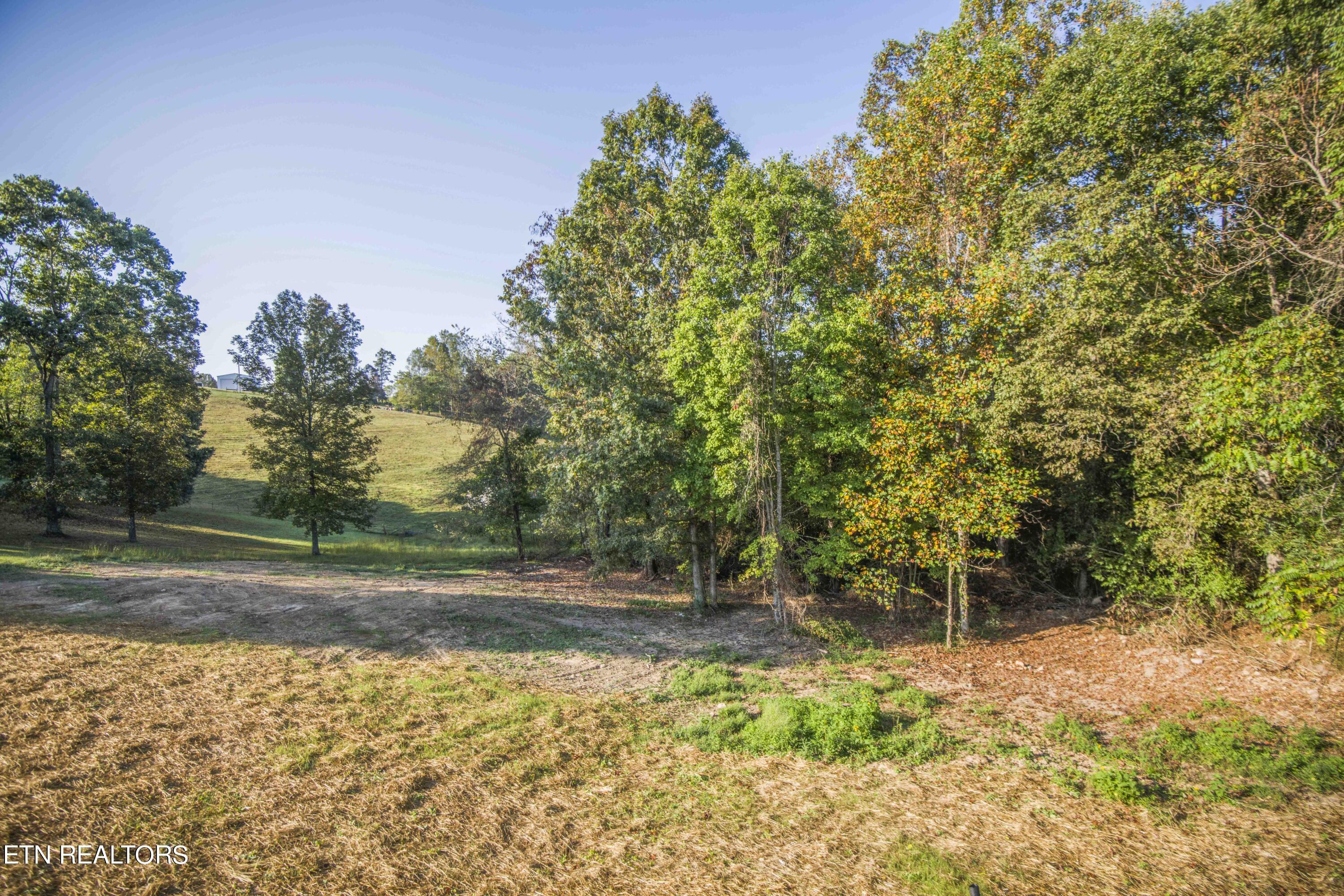 Norris Lake Real Estate - Image# 36