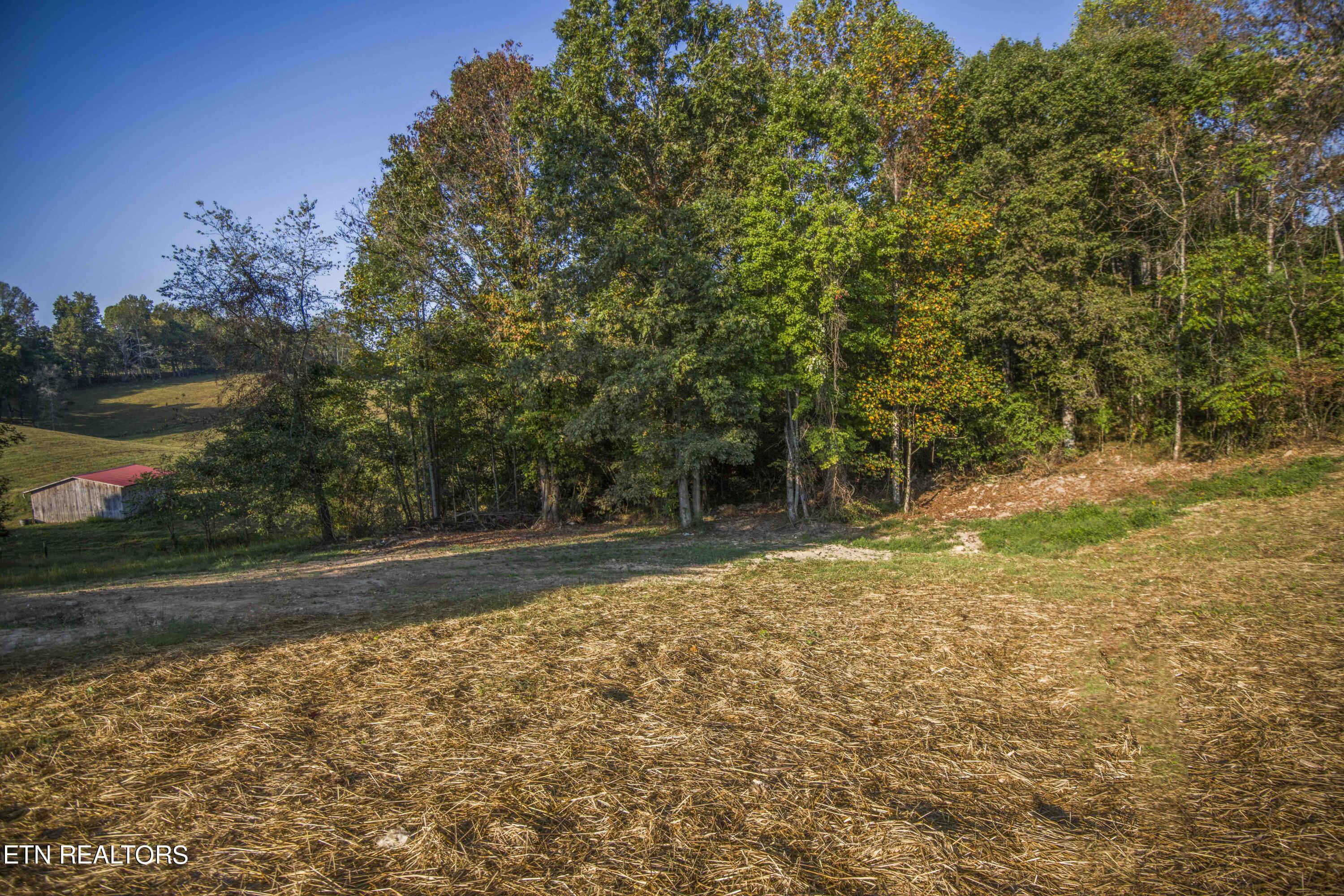 Norris Lake Real Estate - Image# 44