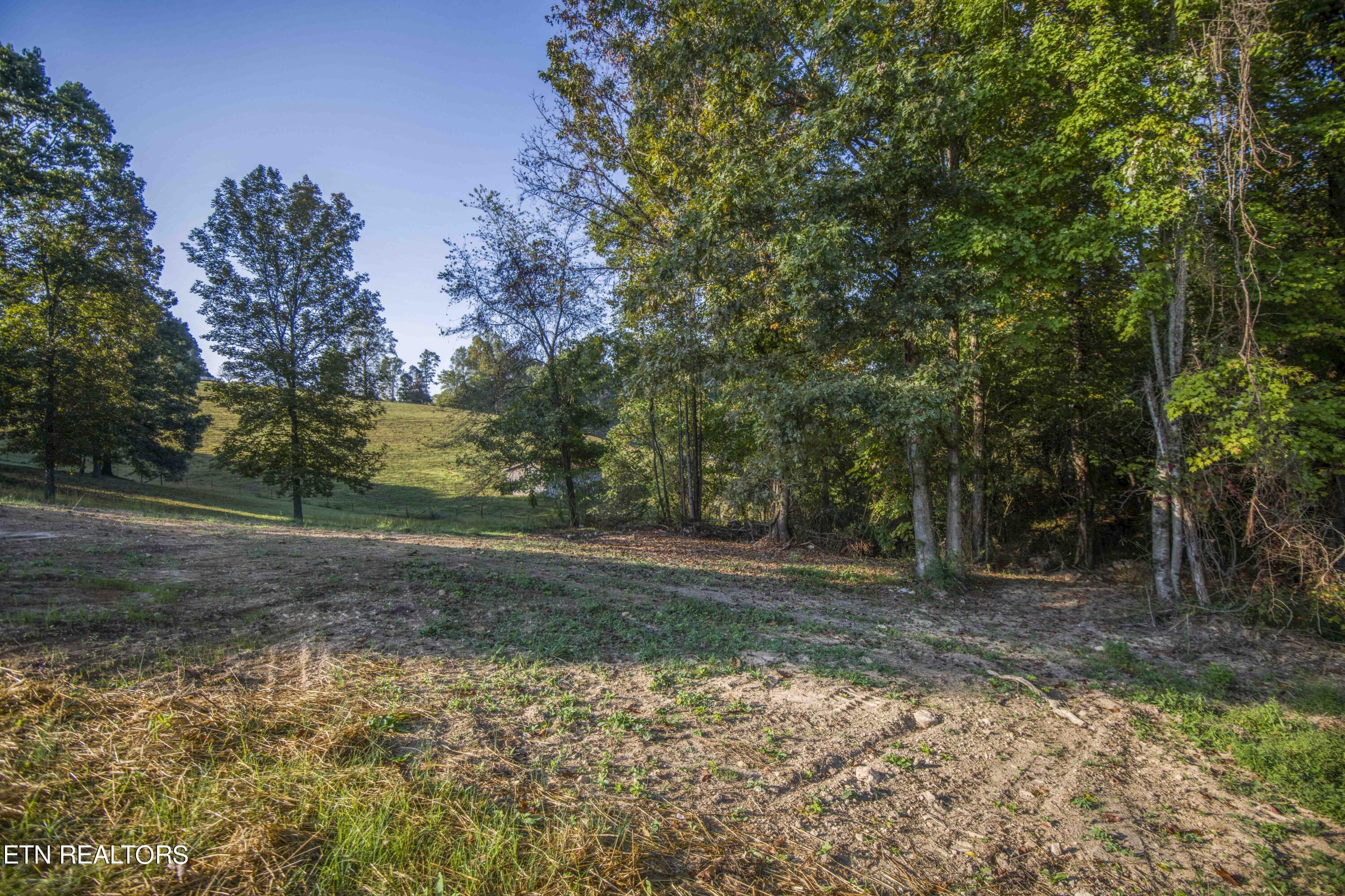 Norris Lake Real Estate - Image# 50