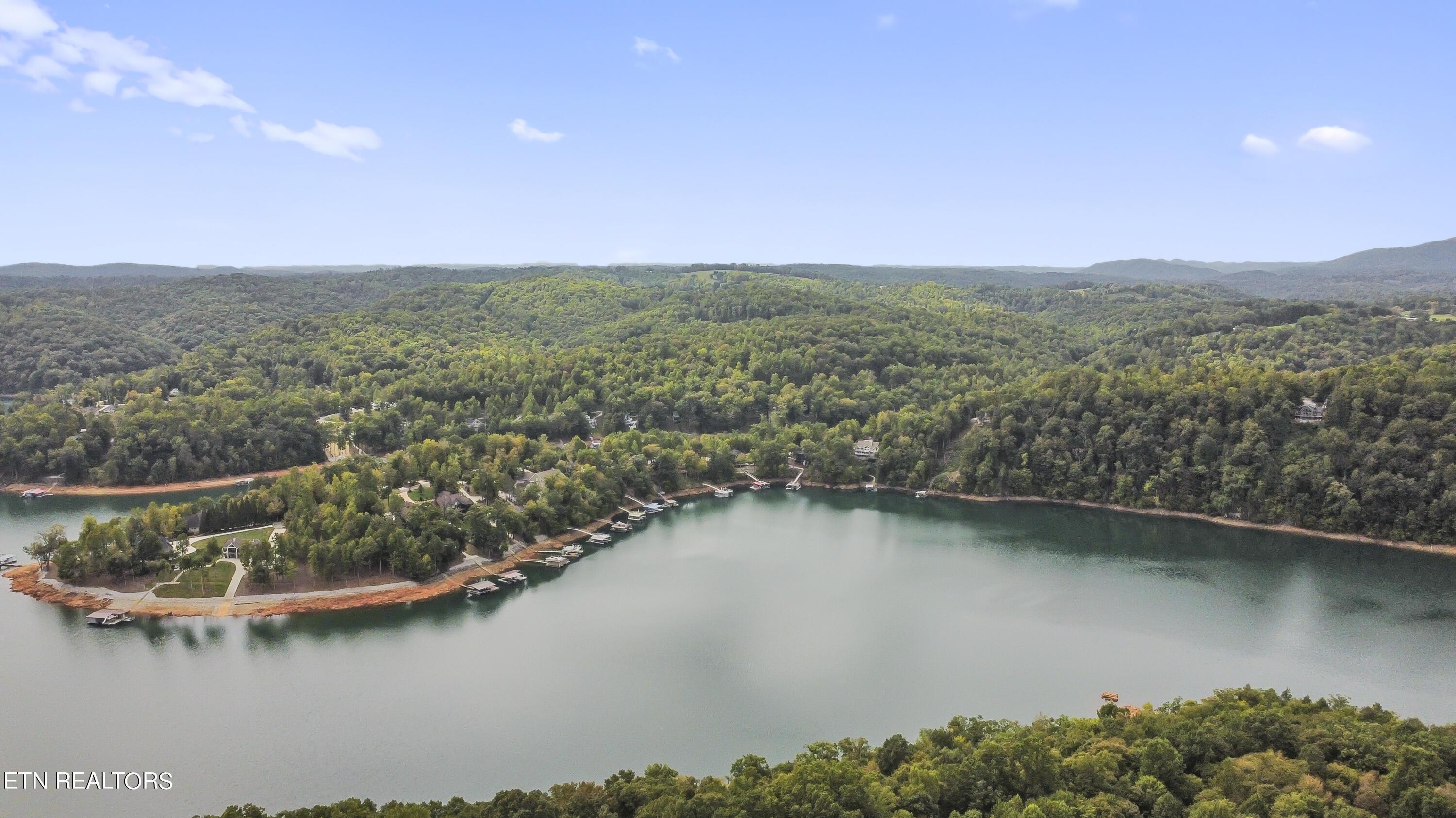 Norris Lake Real Estate - Image# 74