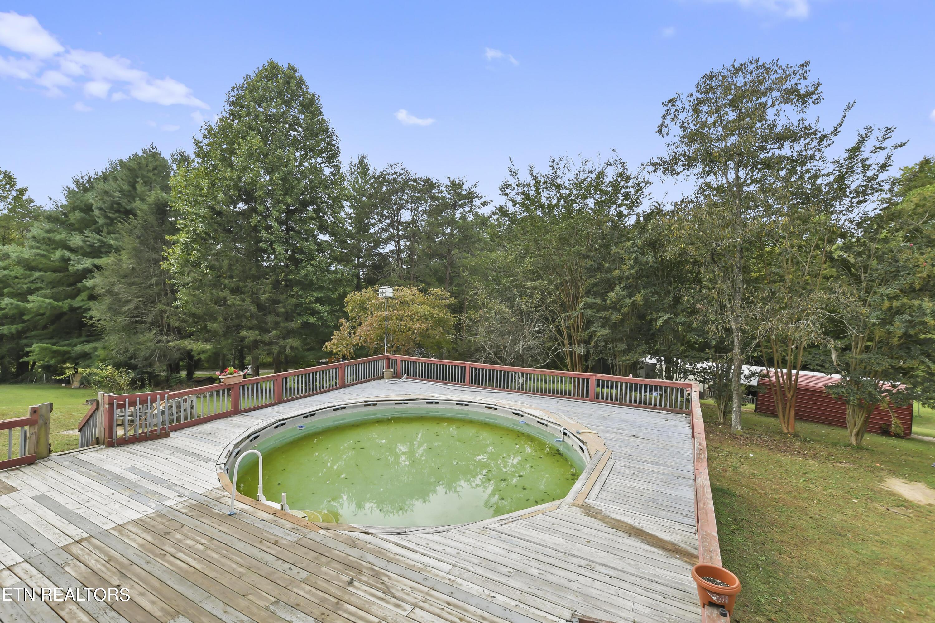 Norris Lake Real Estate - Image# 52