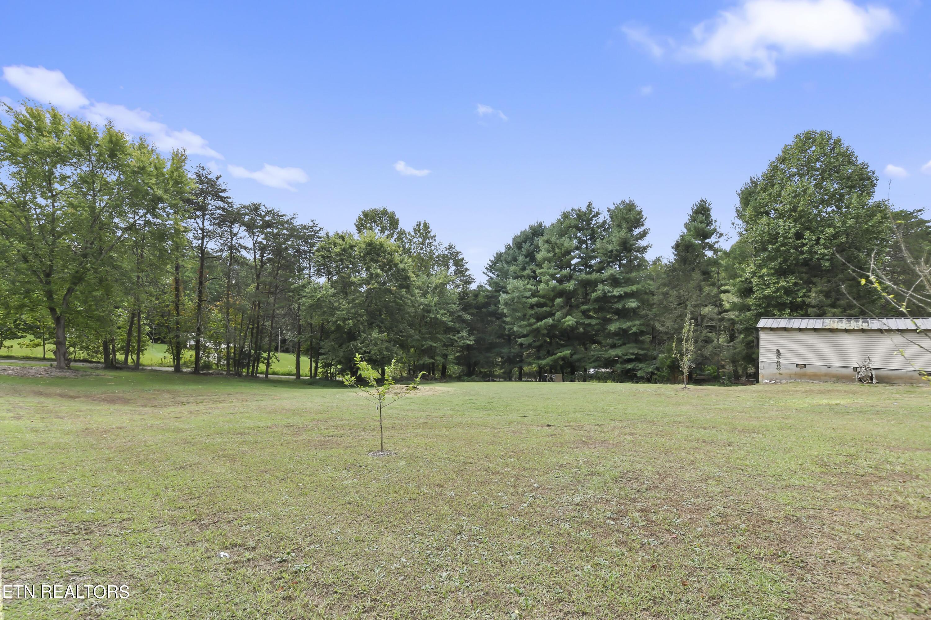 Norris Lake Real Estate - Image# 71