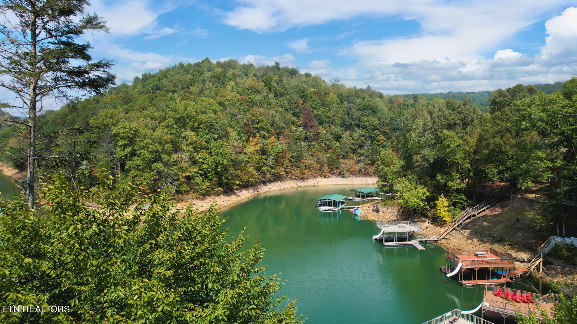 Norris Lake Real Estate - Image# 4