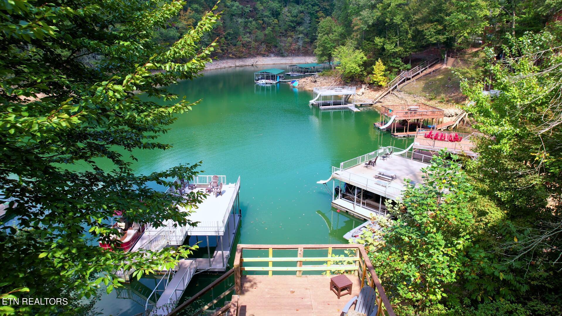 Norris Lake Real Estate - Image# 76