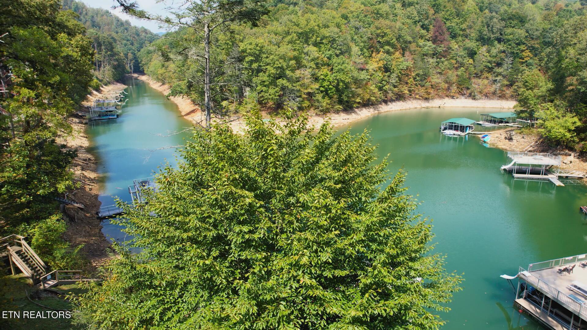 Norris Lake Real Estate - Image# 78