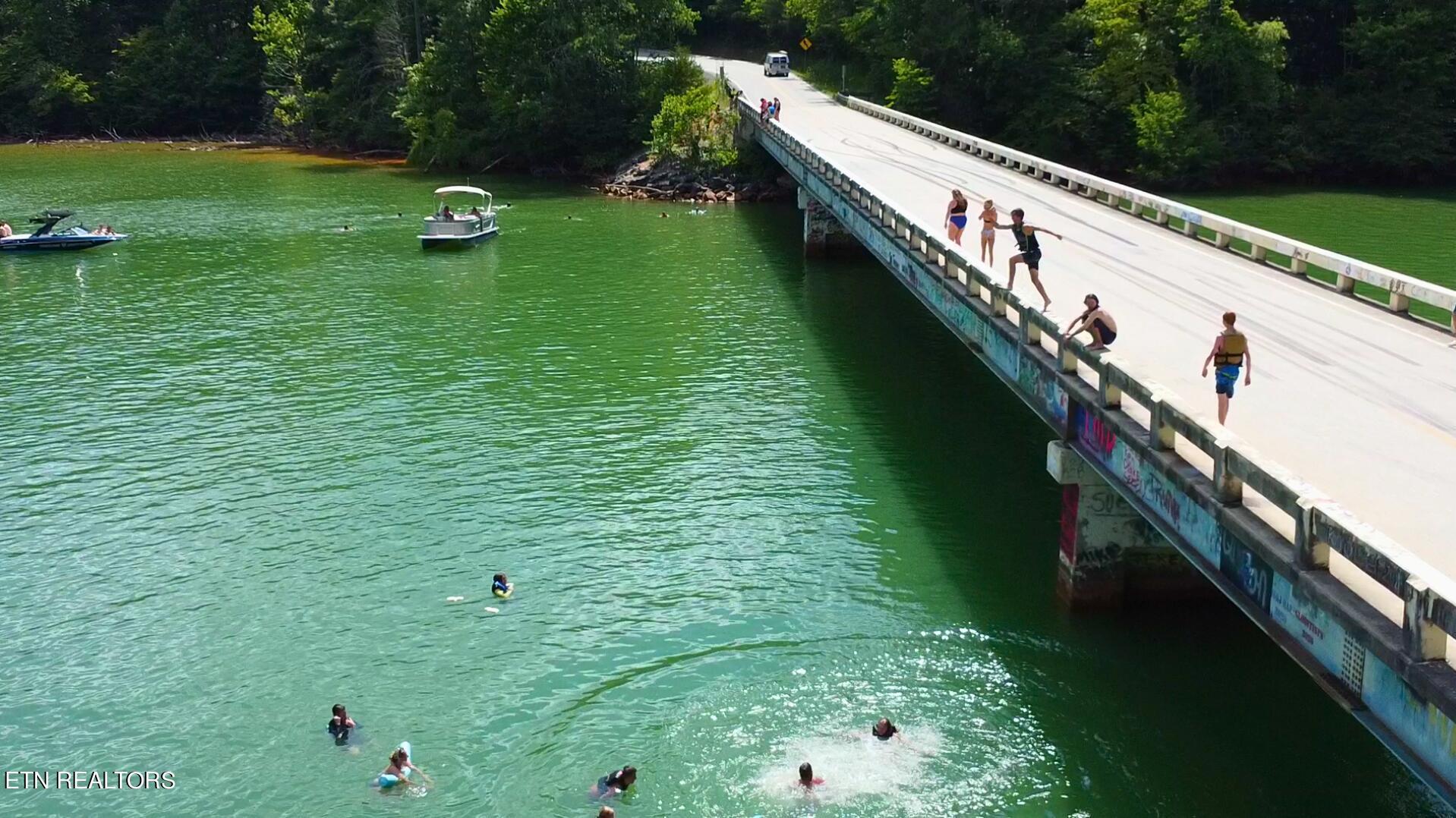 Norris Lake Real Estate - Image# 2