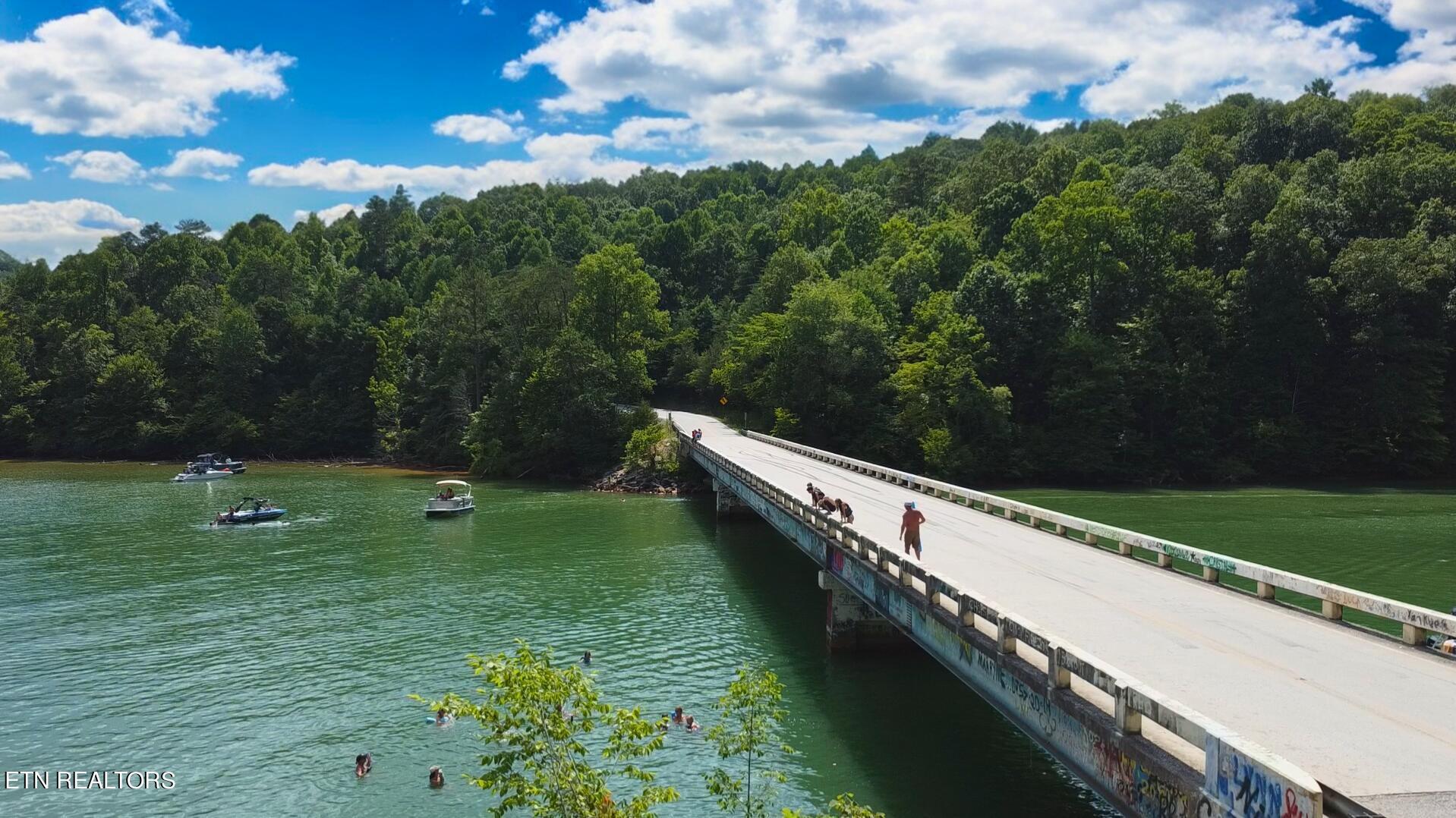 Norris Lake Real Estate - Image# 88