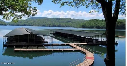 Norris Lake Real Estate - Image# 19