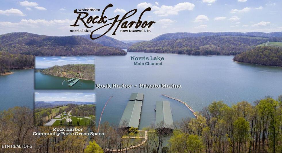 Norris Lake Real Estate - Image# 5