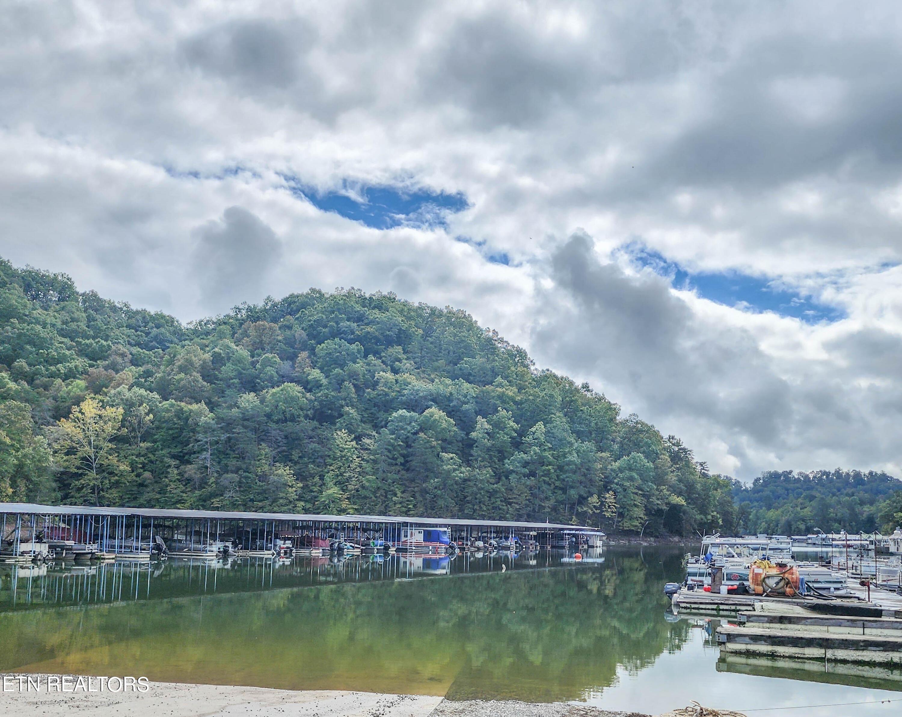 Norris Lake Real Estate - Image# 28