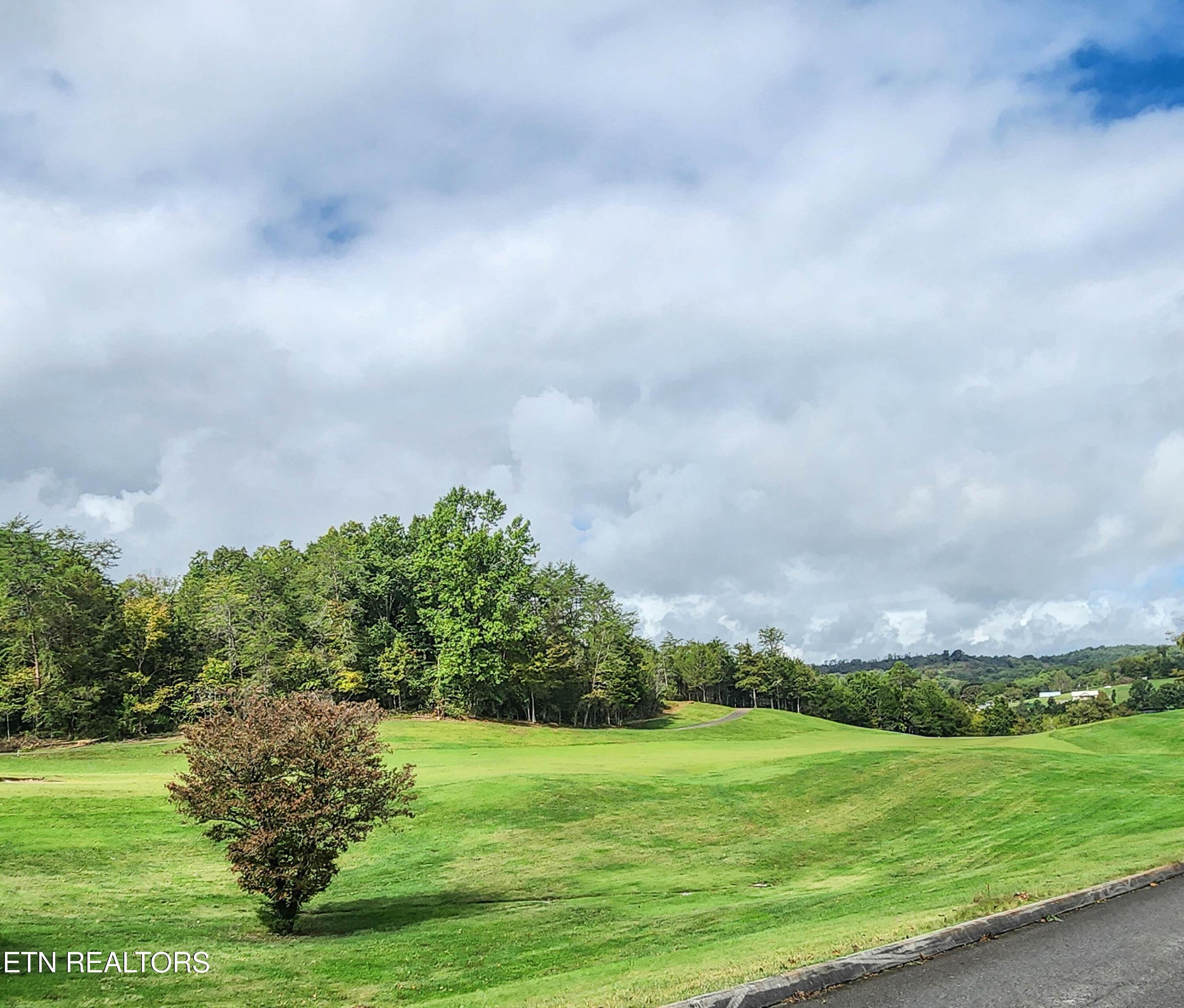 Norris Lake Real Estate - Image# 32