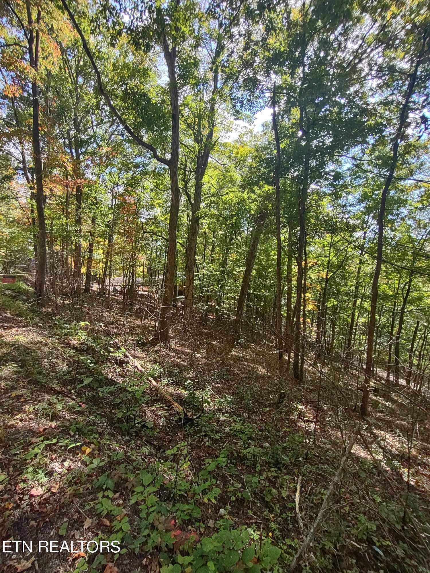 Norris Lake Real Estate - Image# 3