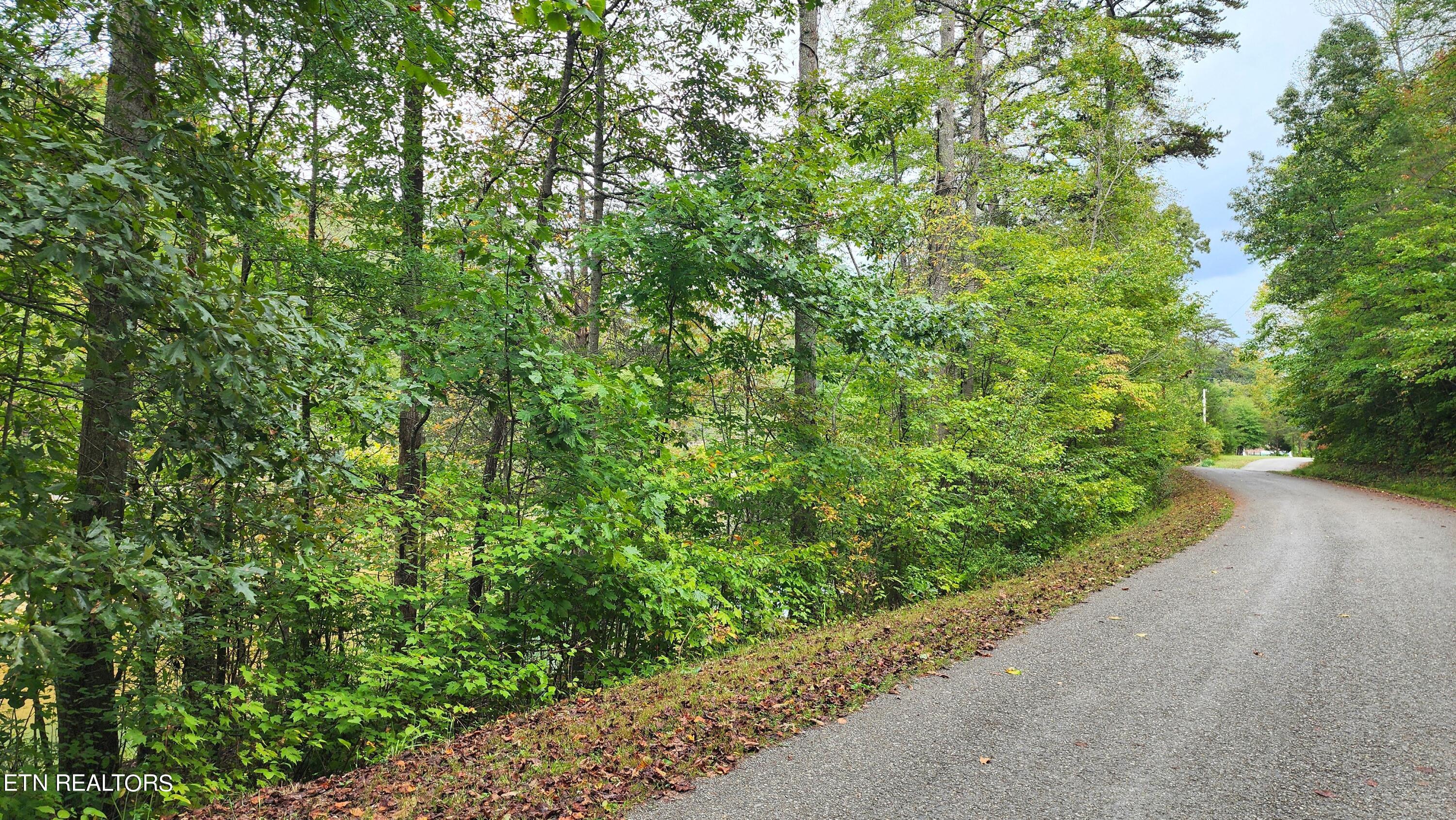 Norris Lake Real Estate - Image# 8