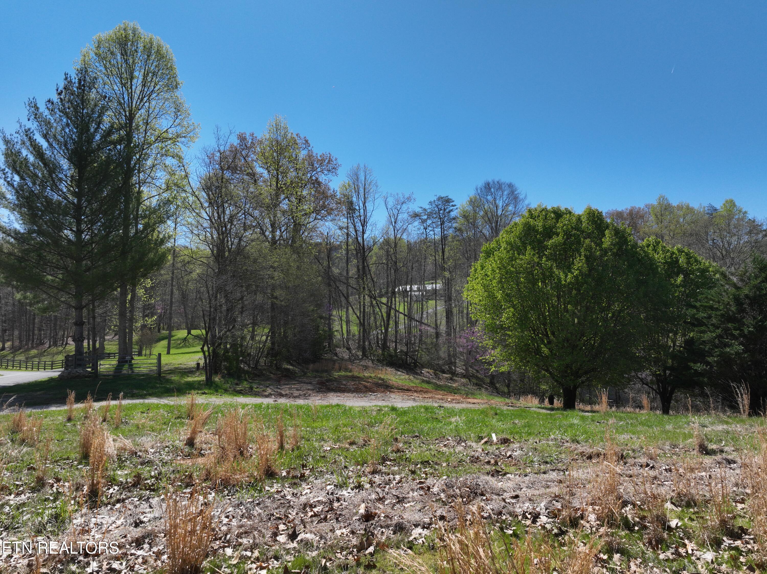 Norris Lake Real Estate - Image# 4