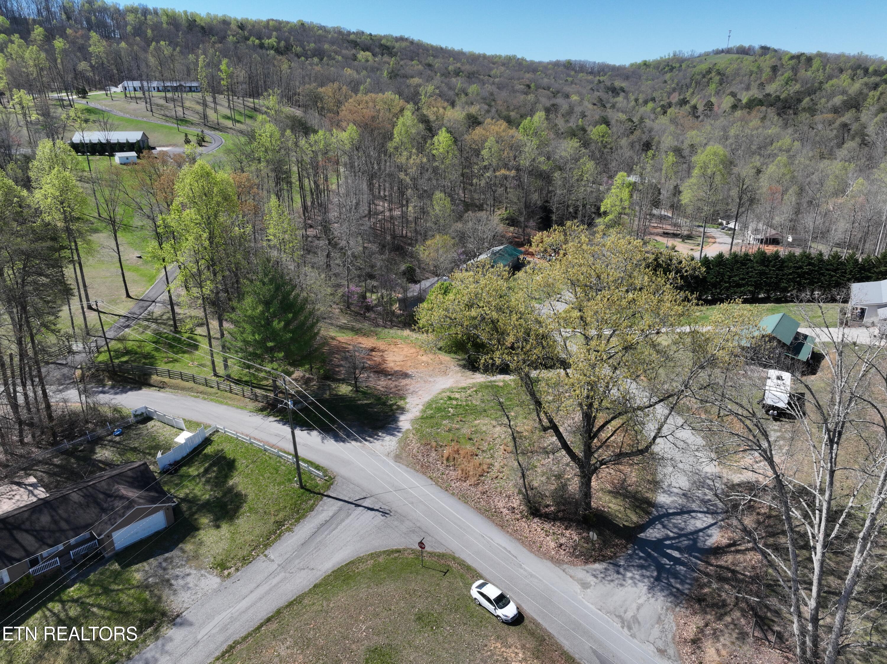 Norris Lake Real Estate - Image# 9