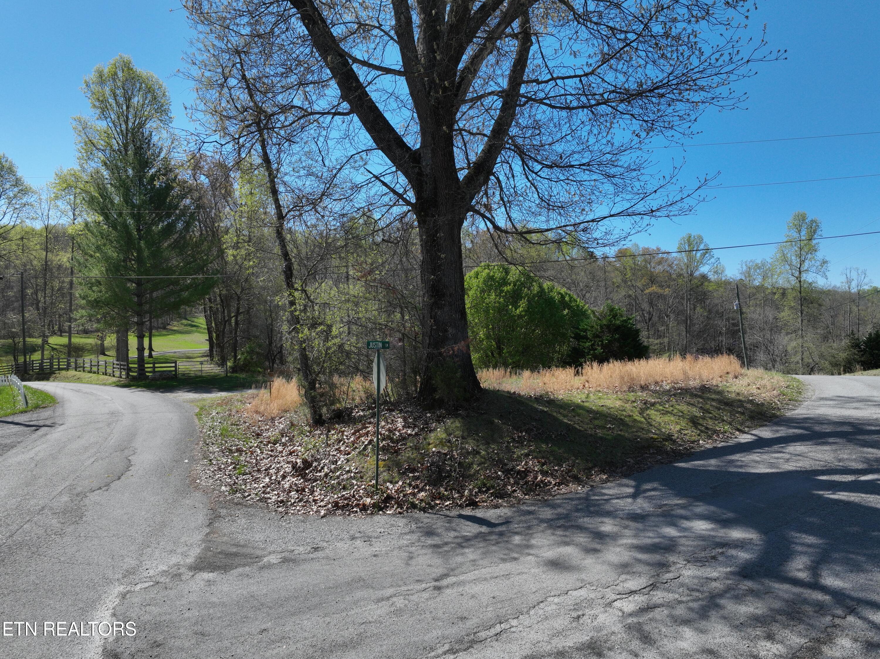 Norris Lake Real Estate - Image# 71