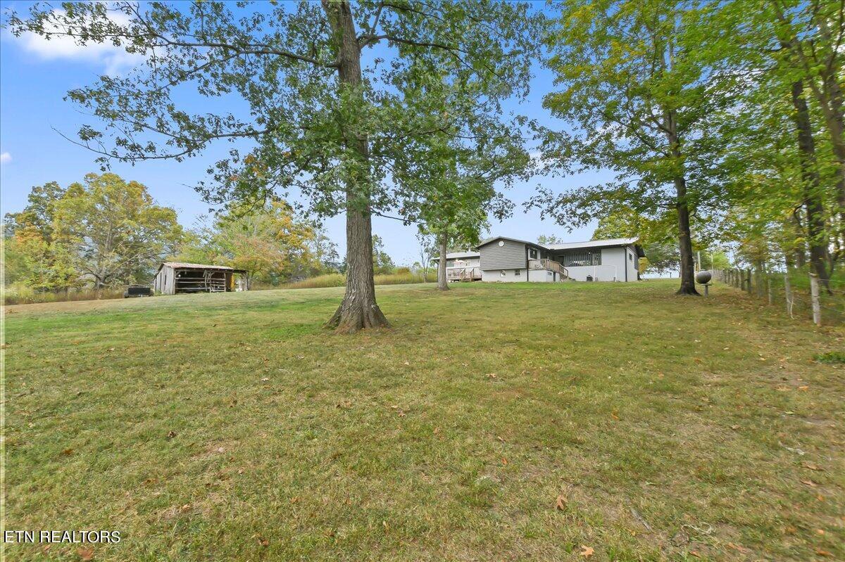 Norris Lake Real Estate - Image# 74