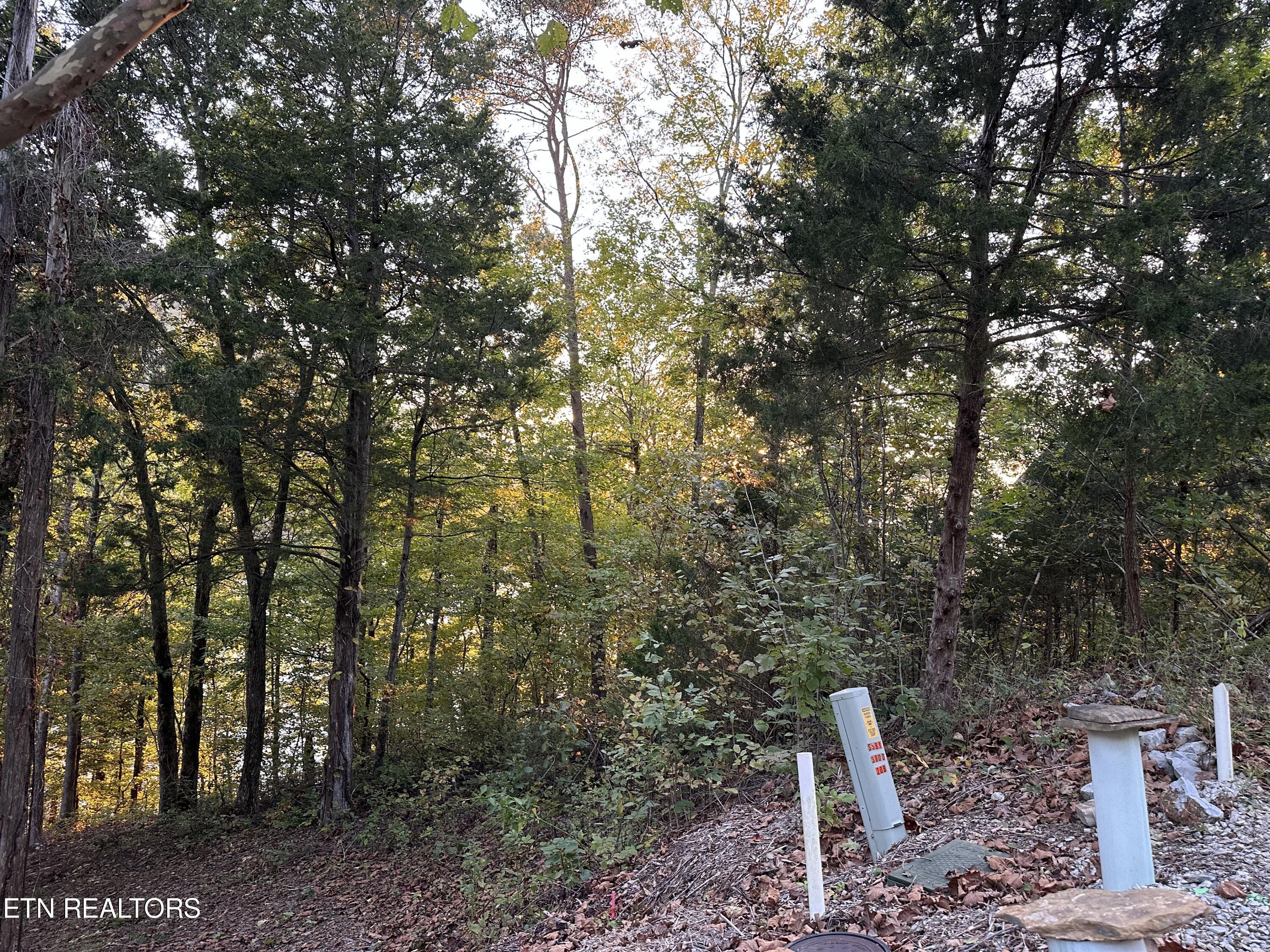 Norris Lake Real Estate - Image# 20