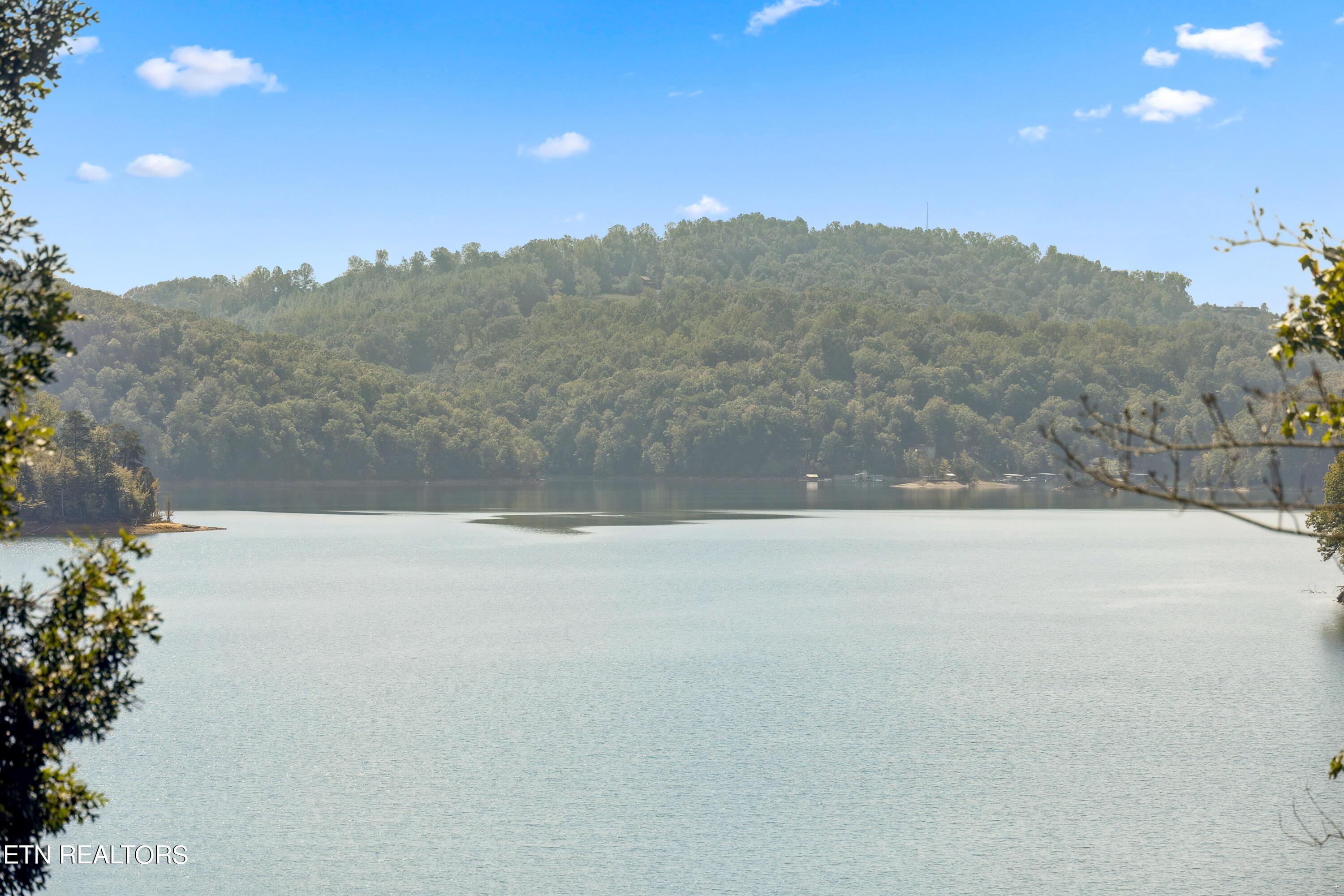 Norris Lake Real Estate - Image# 113