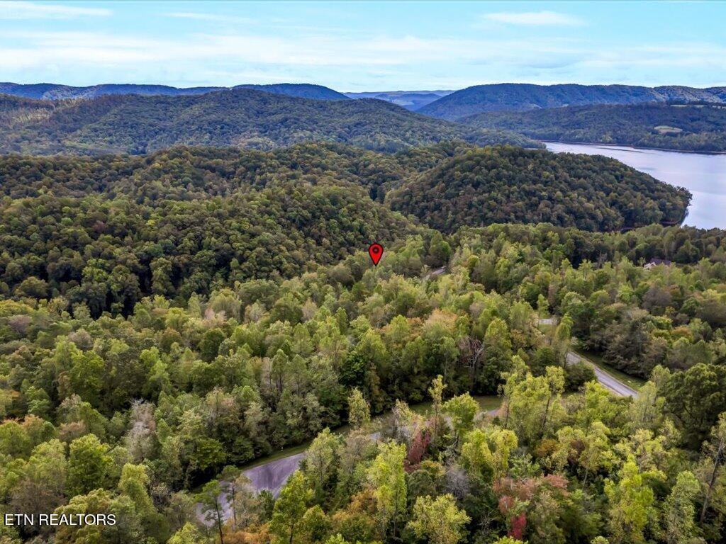 Norris Lake Real Estate - Image# 16