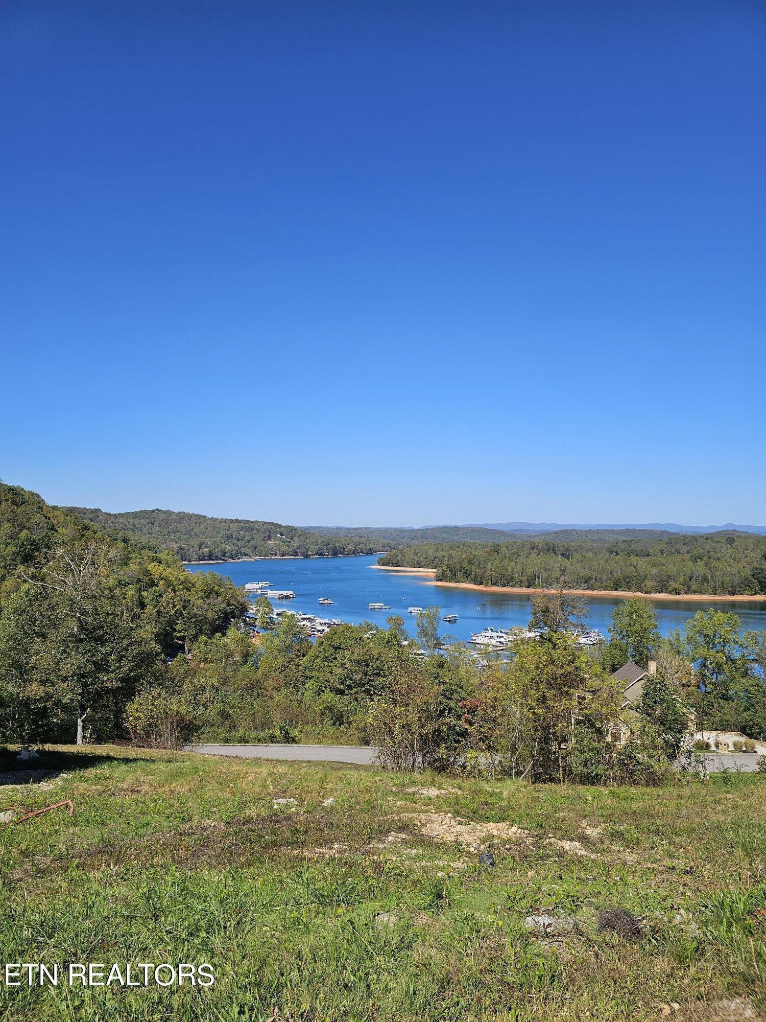 Norris Lake Real Estate - Image# 11