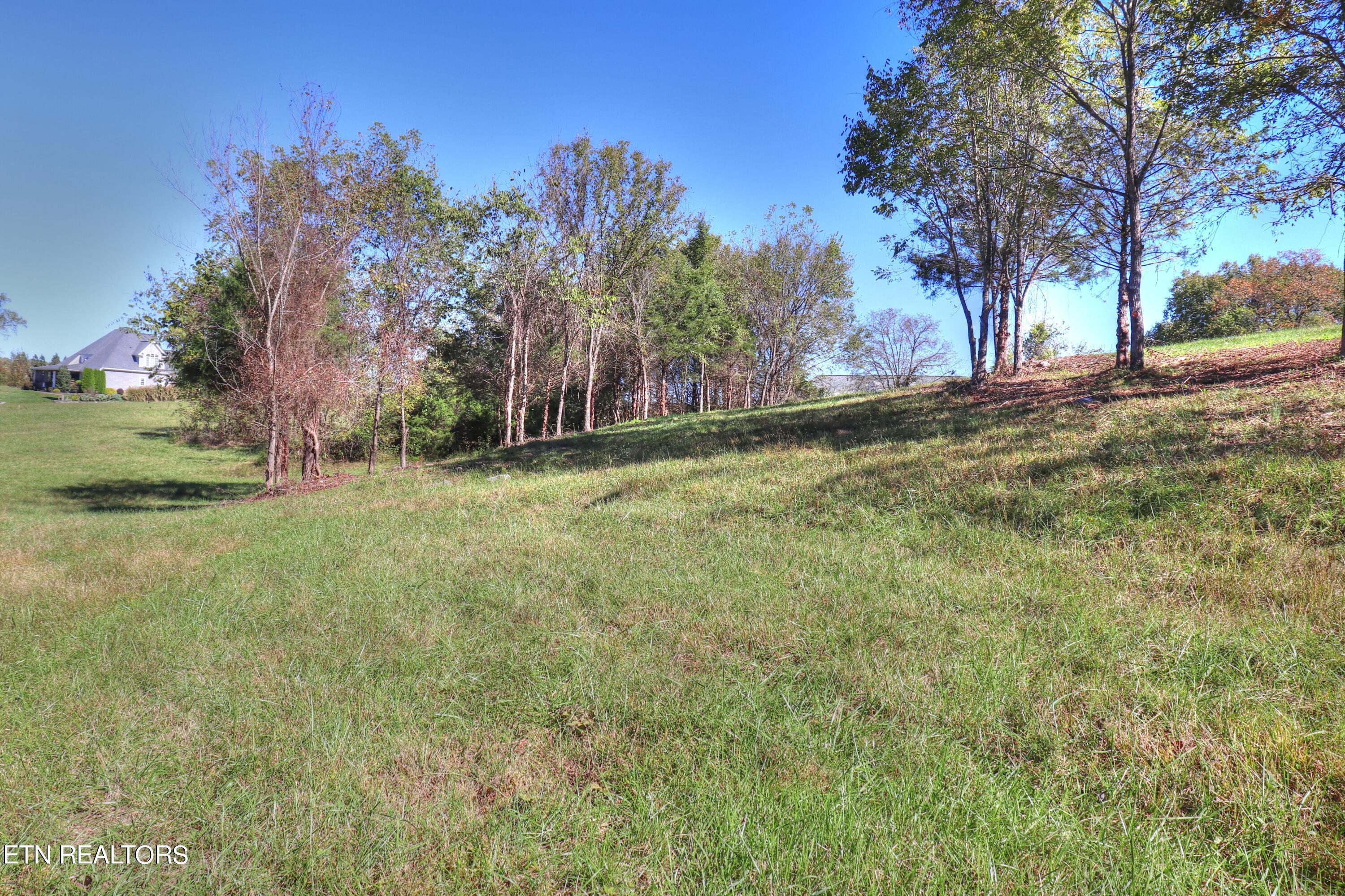 Norris Lake Real Estate - Image# 2