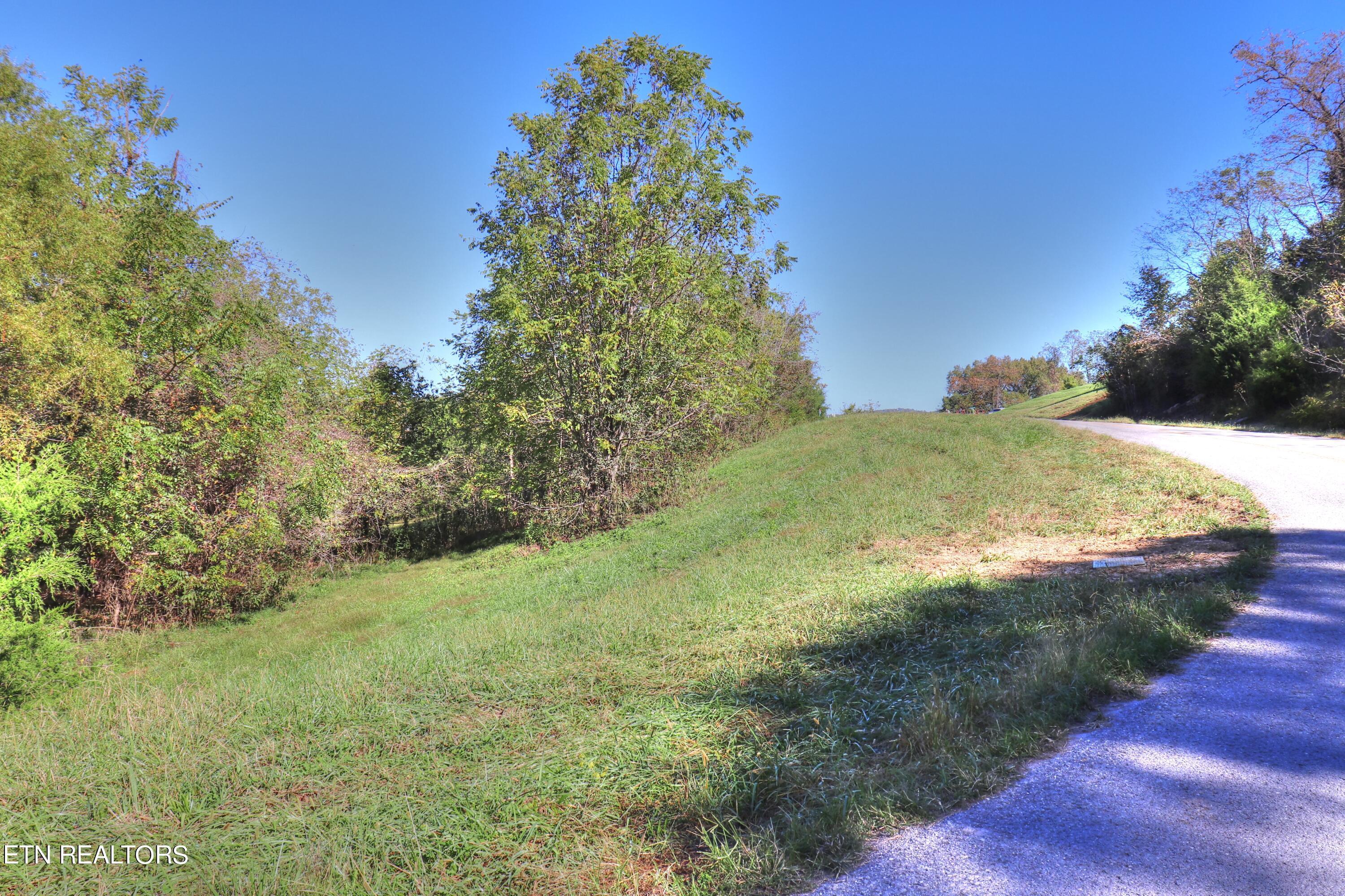 Norris Lake Real Estate - Image# 9