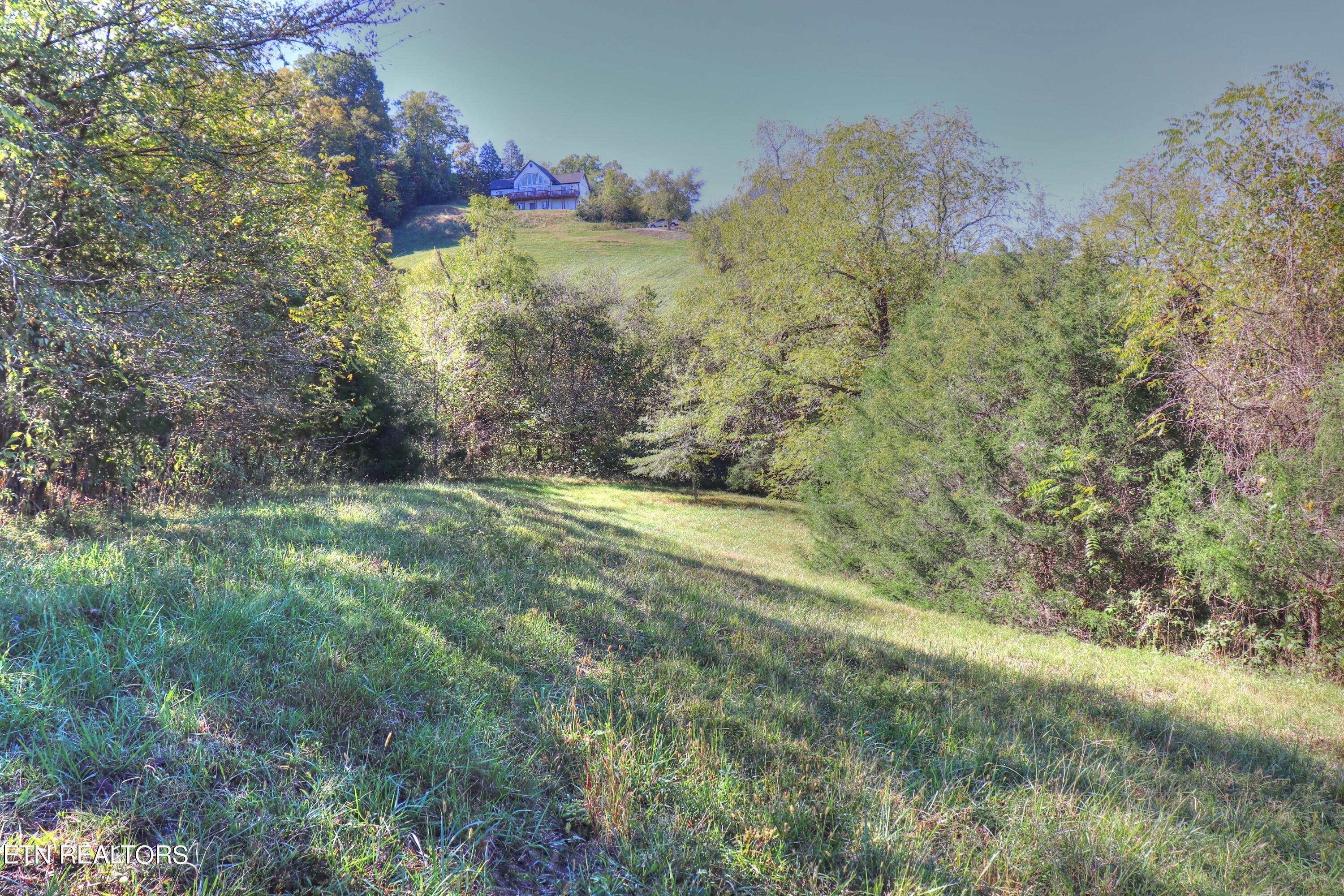 Norris Lake Real Estate - Image# 13