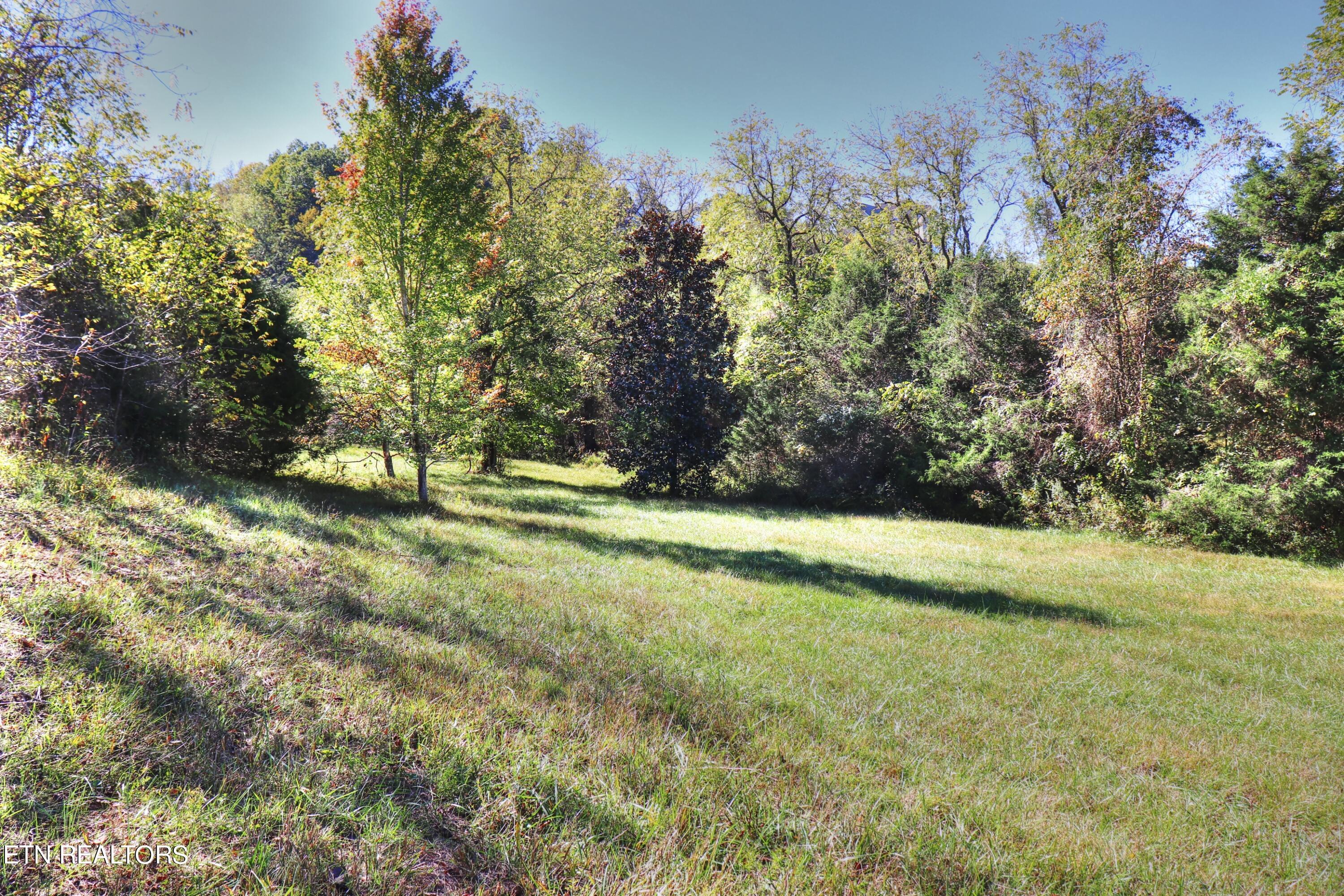 Norris Lake Real Estate - Image# 15