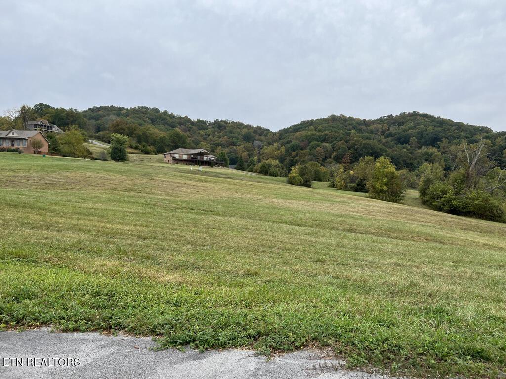 Norris Lake Real Estate - Image# 12