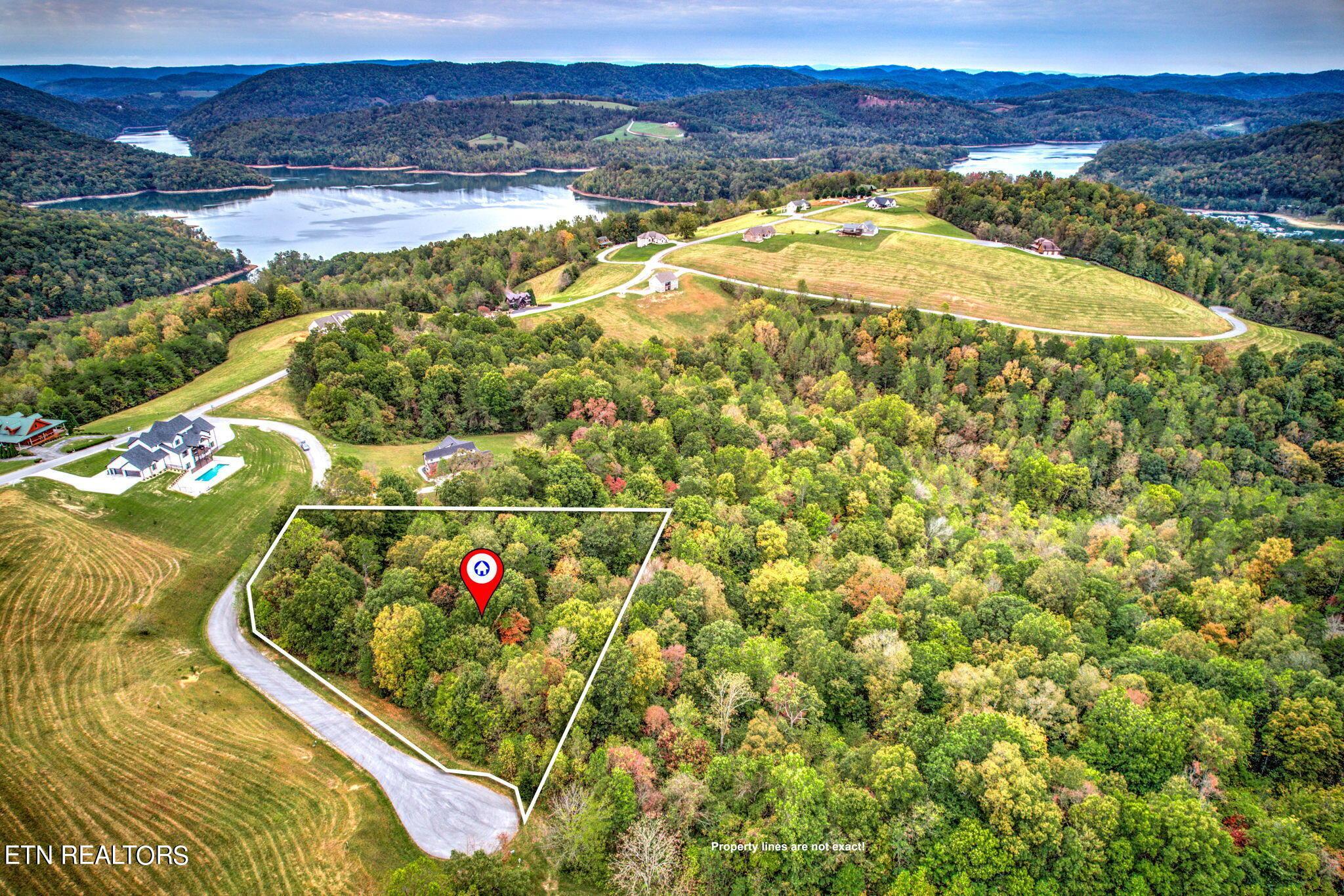 Norris Lake Real Estate - Image# 4