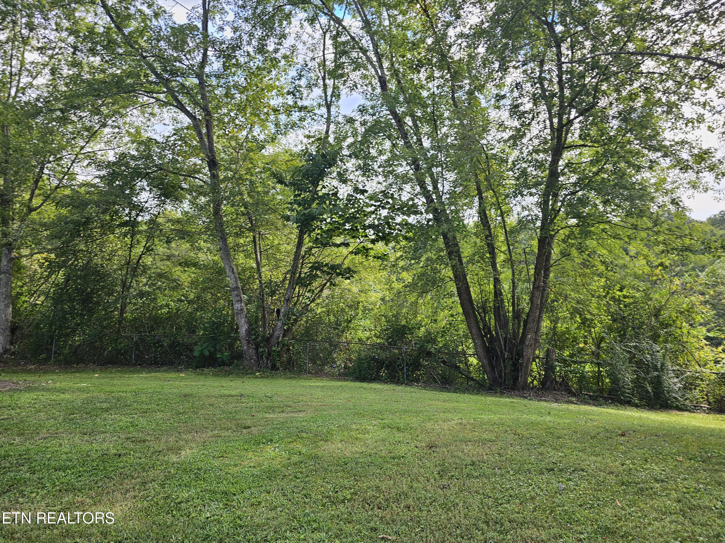 Norris Lake Real Estate - Image# 13