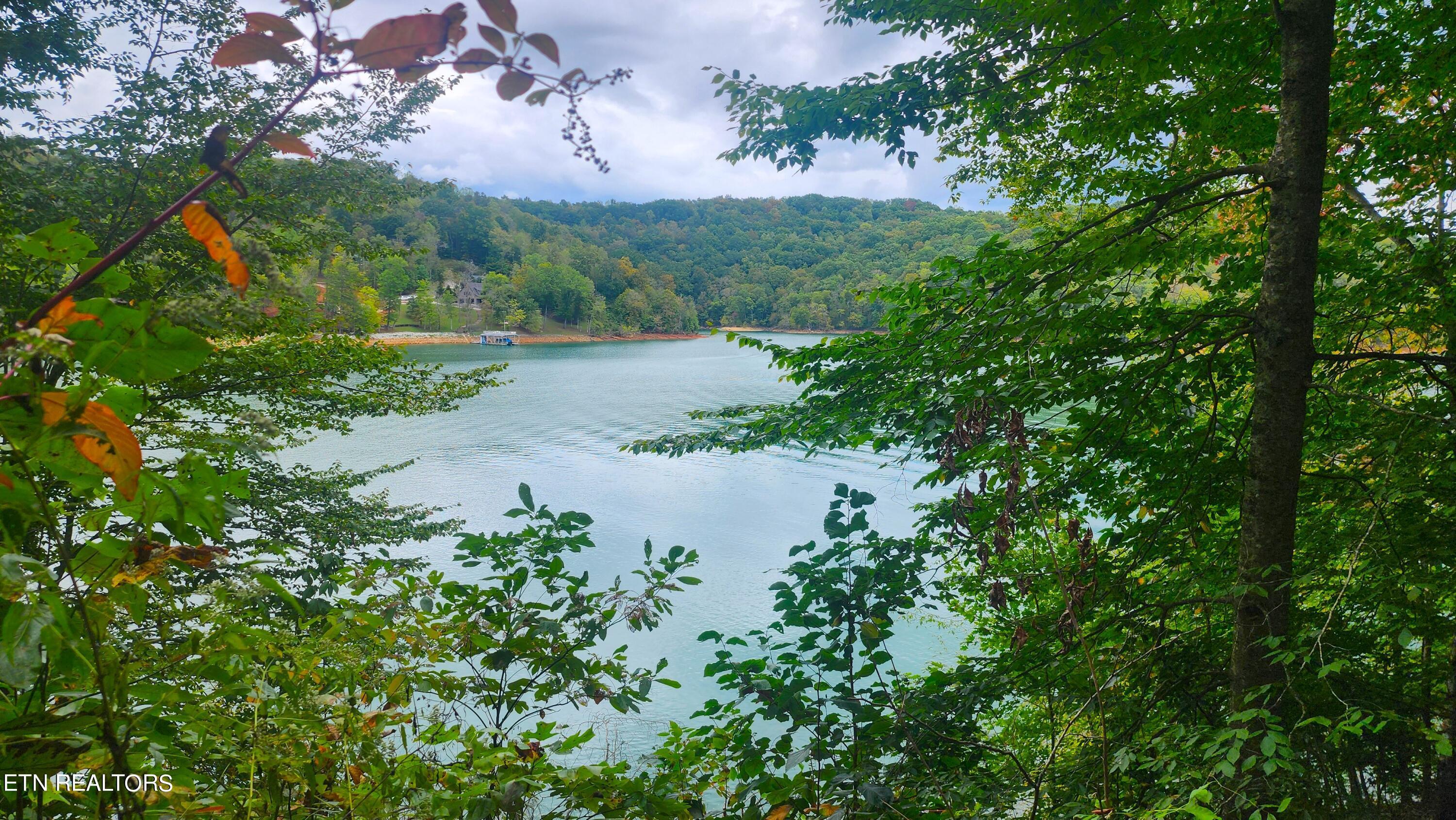 Norris Lake Real Estate - Image# 2