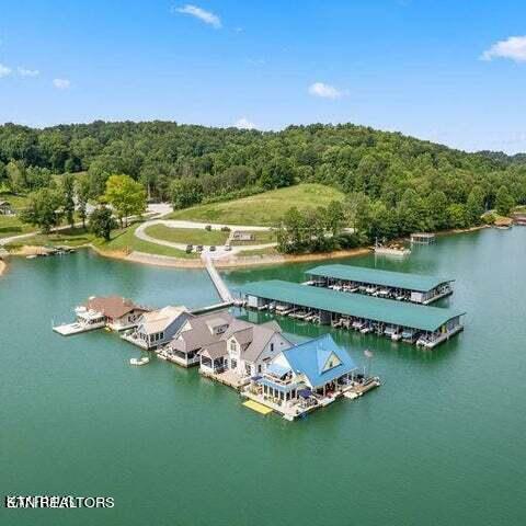 Norris Lake Real Estate - Image# 10