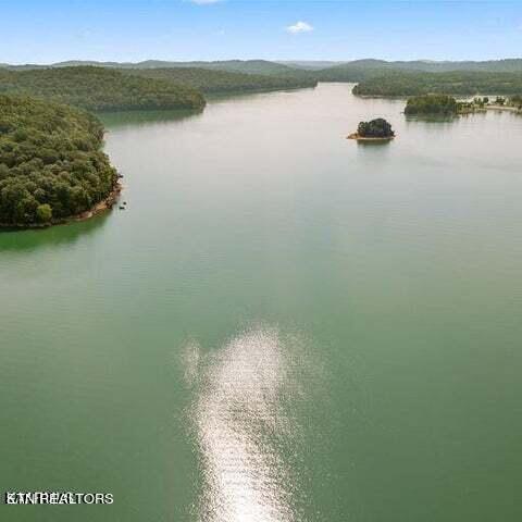 Norris Lake Real Estate - Image# 4