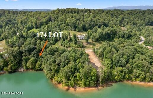 Norris Lake Real Estate - Image# 3