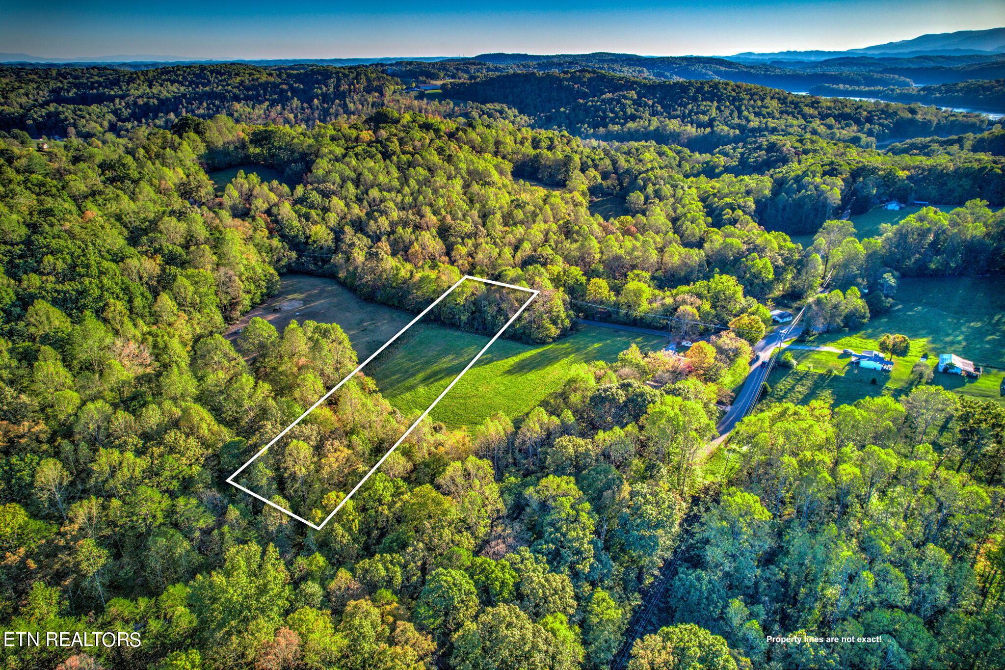 Norris Lake Real Estate - Image# 5