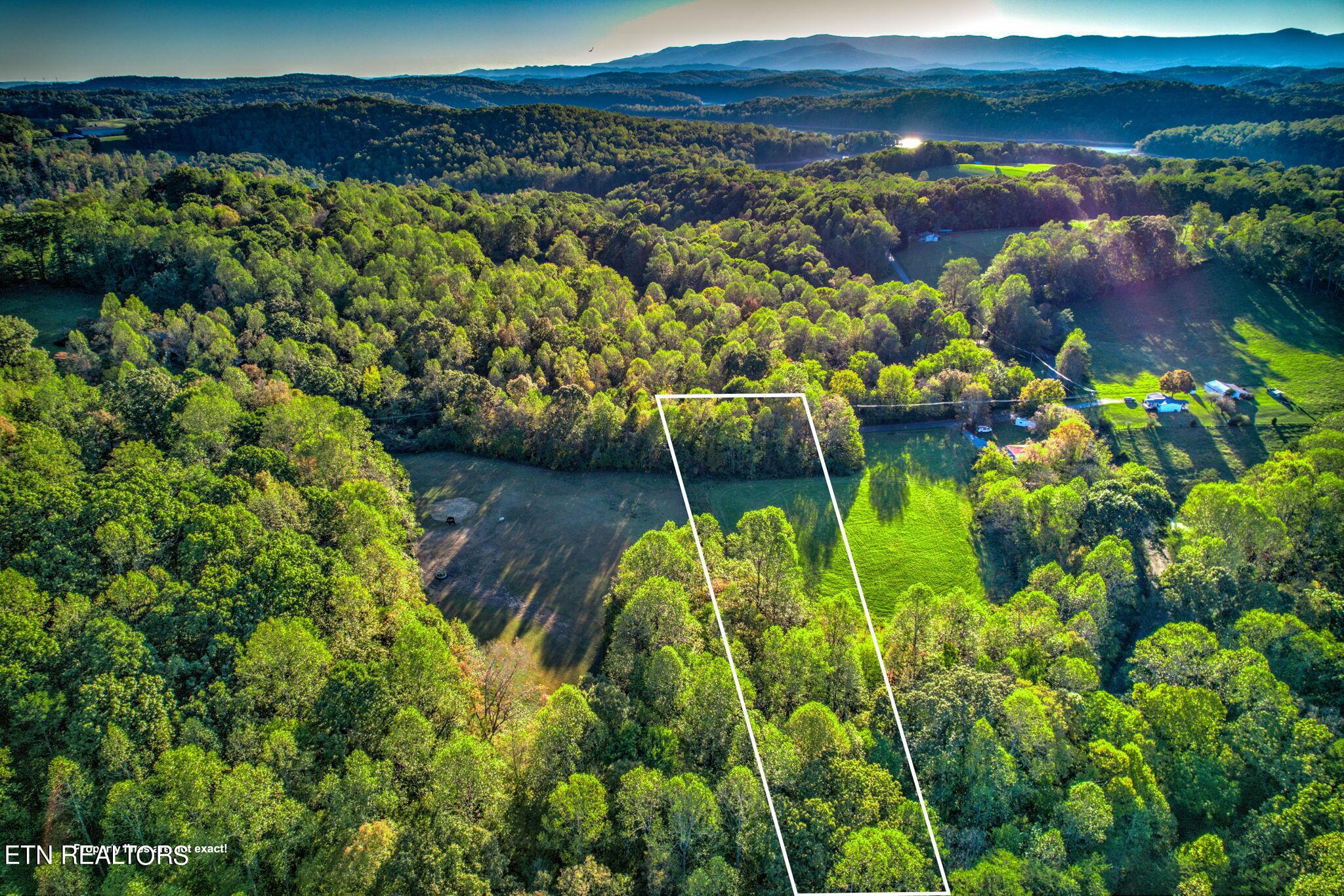 Norris Lake Real Estate - Image# 6