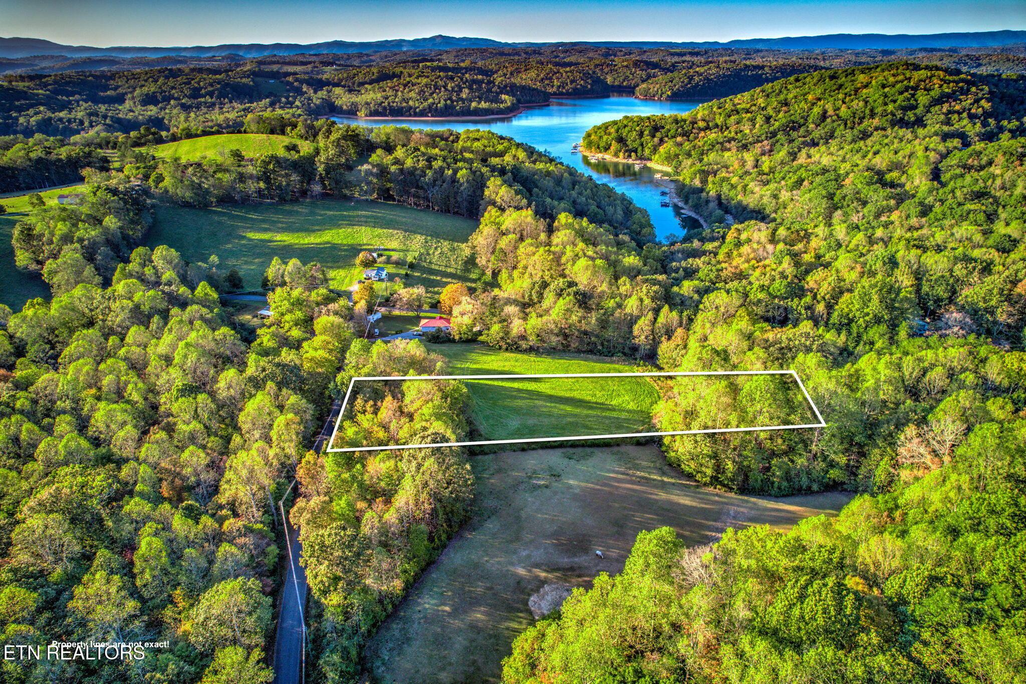 Norris Lake Real Estate - Image# 8