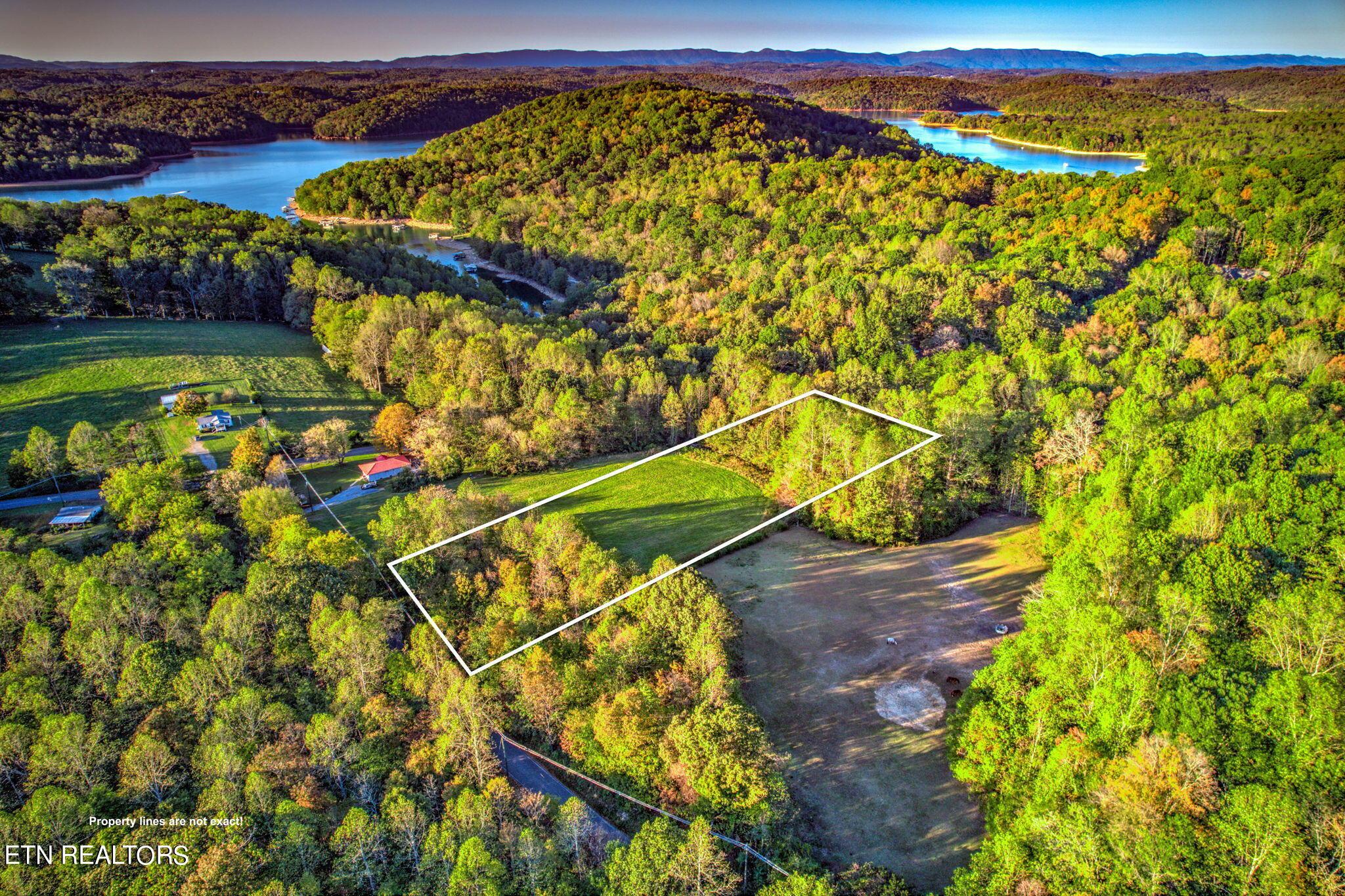 Norris Lake Real Estate - Image# 9