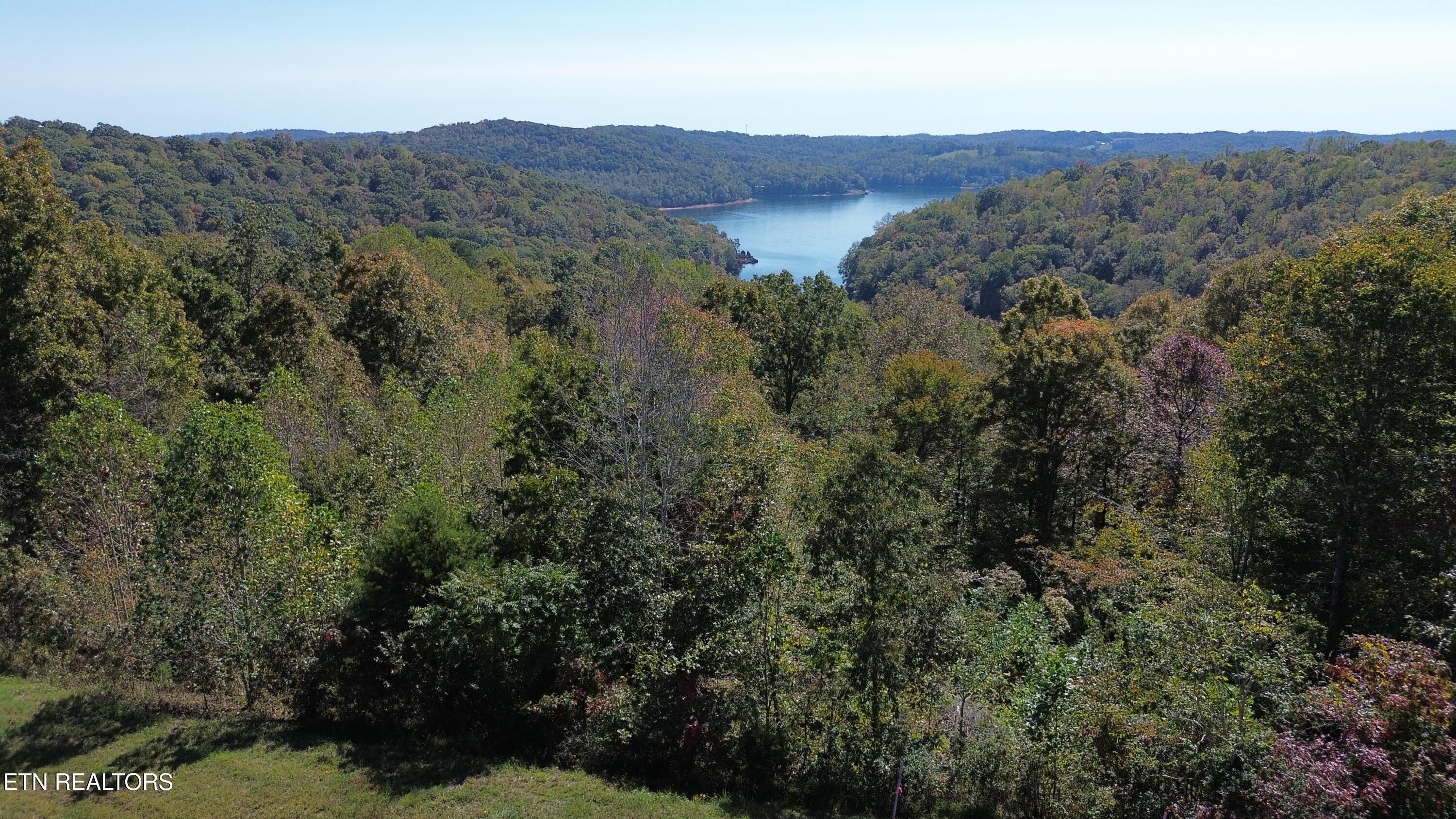 Norris Lake Real Estate - Image# 2