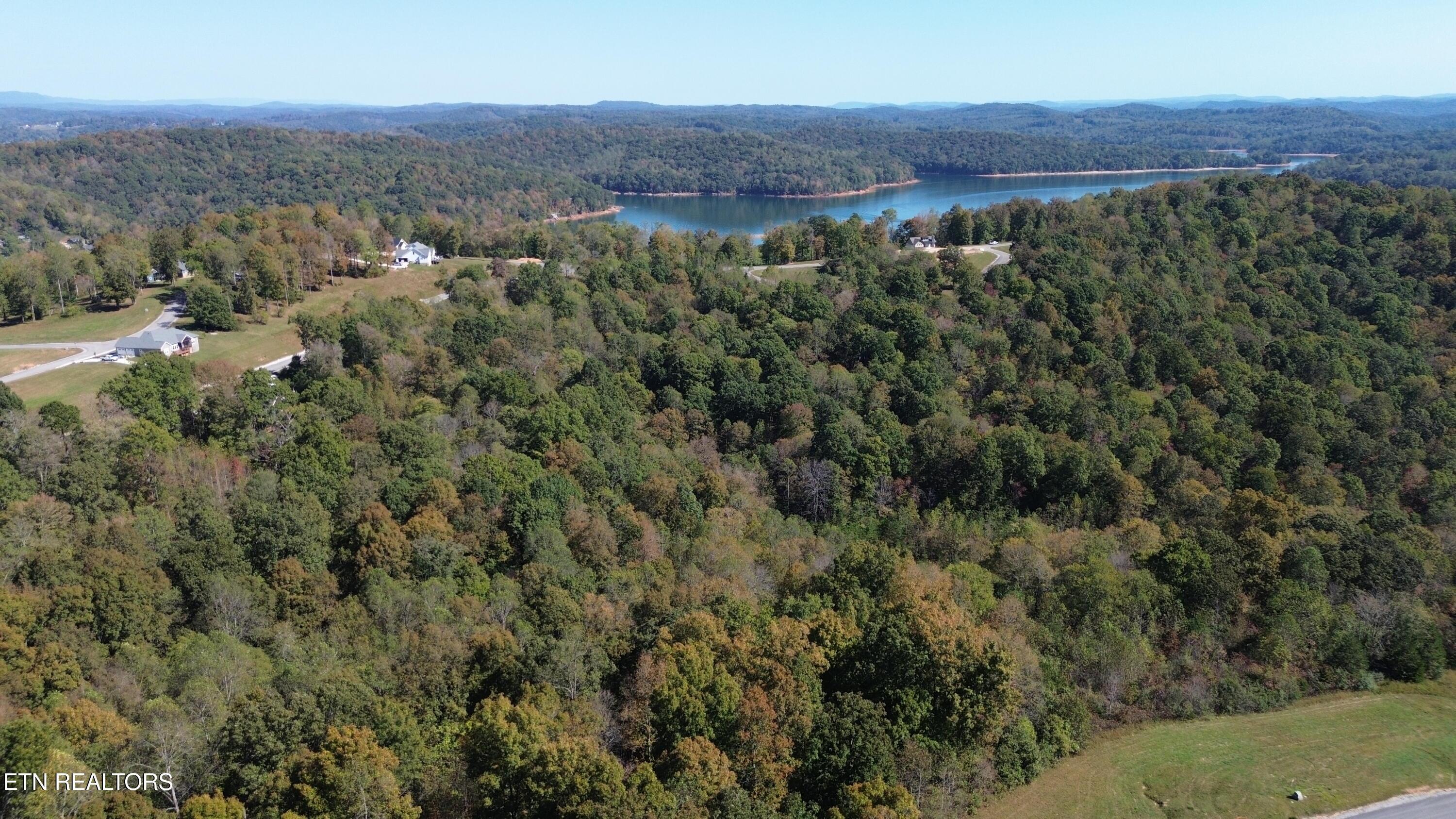 Norris Lake Real Estate - Image# 6